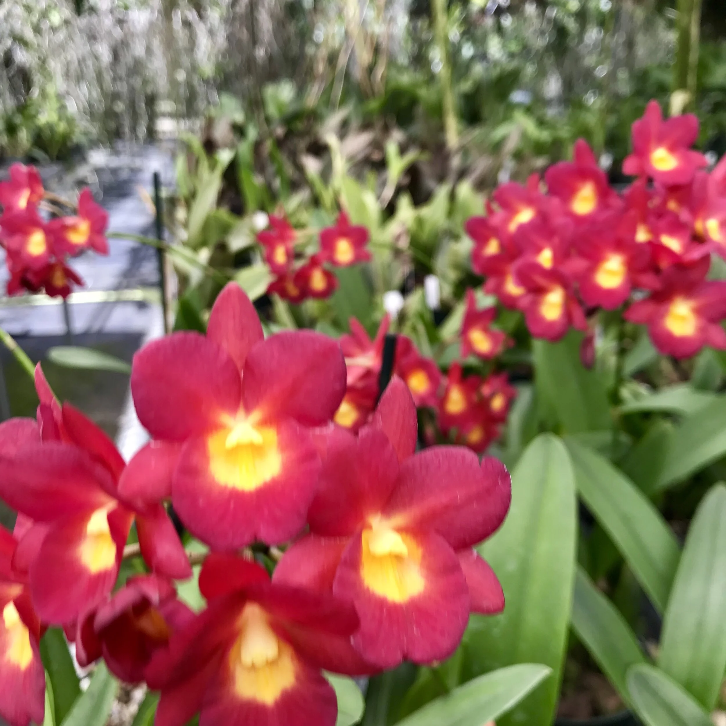 09586DEF-921D-4779-BDD8-DD0366821491