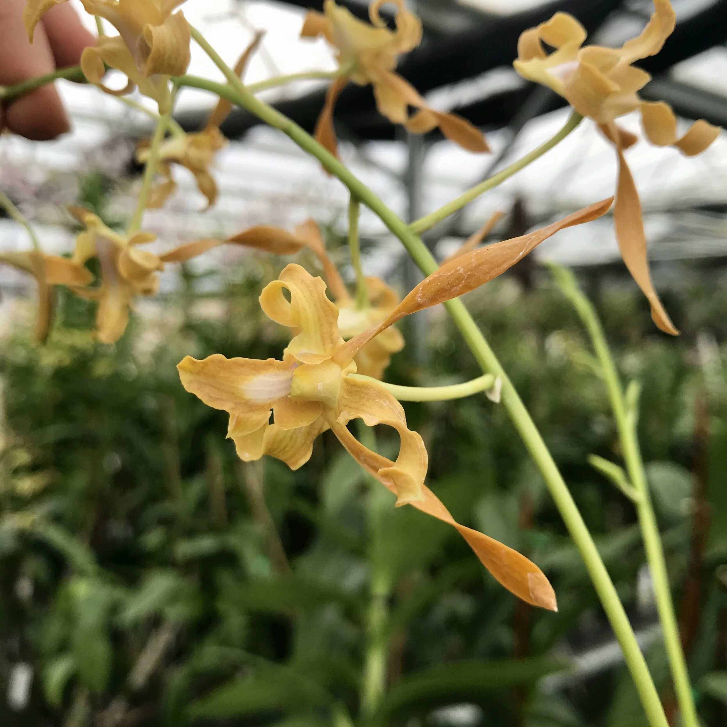 81AB175F-B276-4641-B7C6-93FE31BDD76C