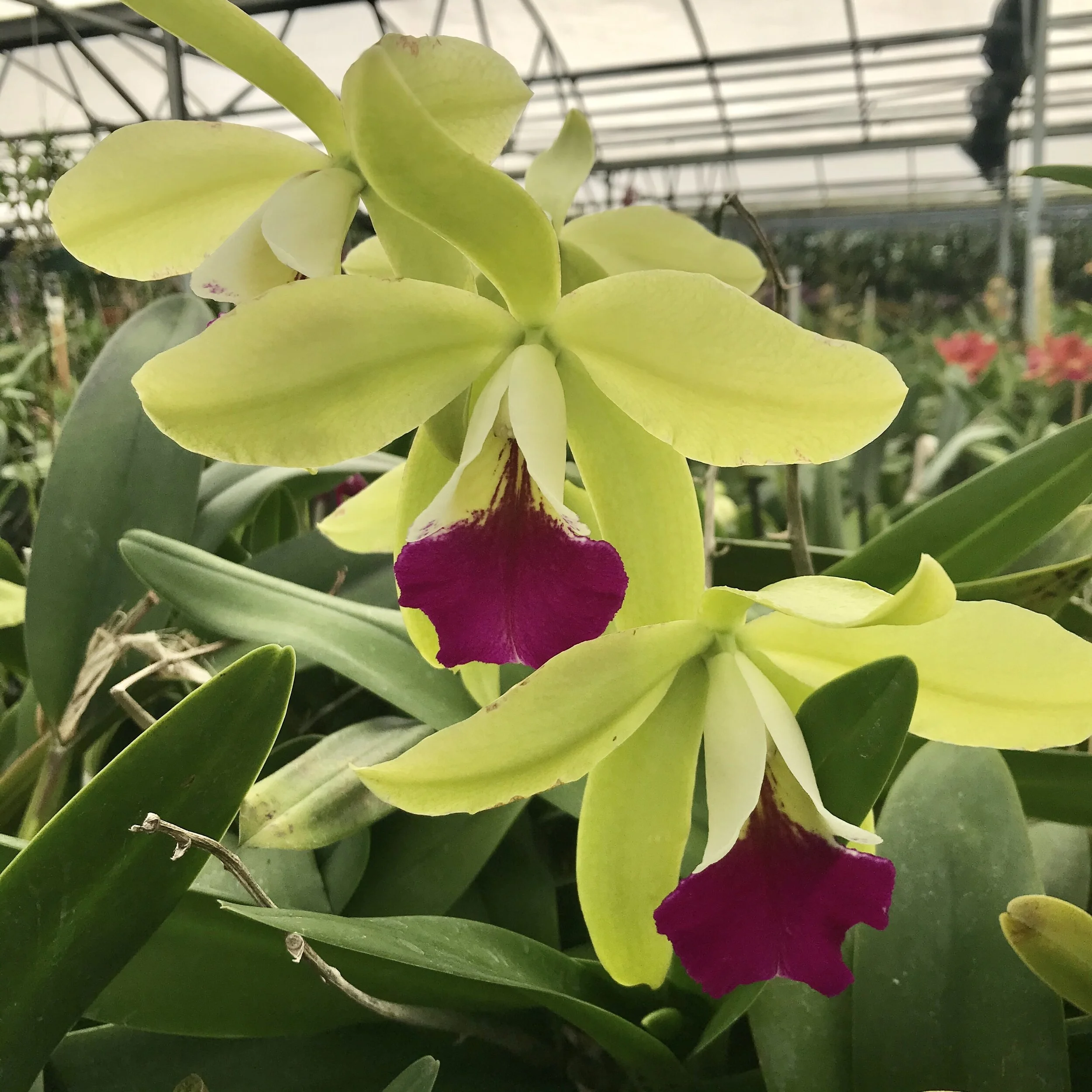 4BE4E7EC-220B-43BD-8FB5-9DA6234ECA4F