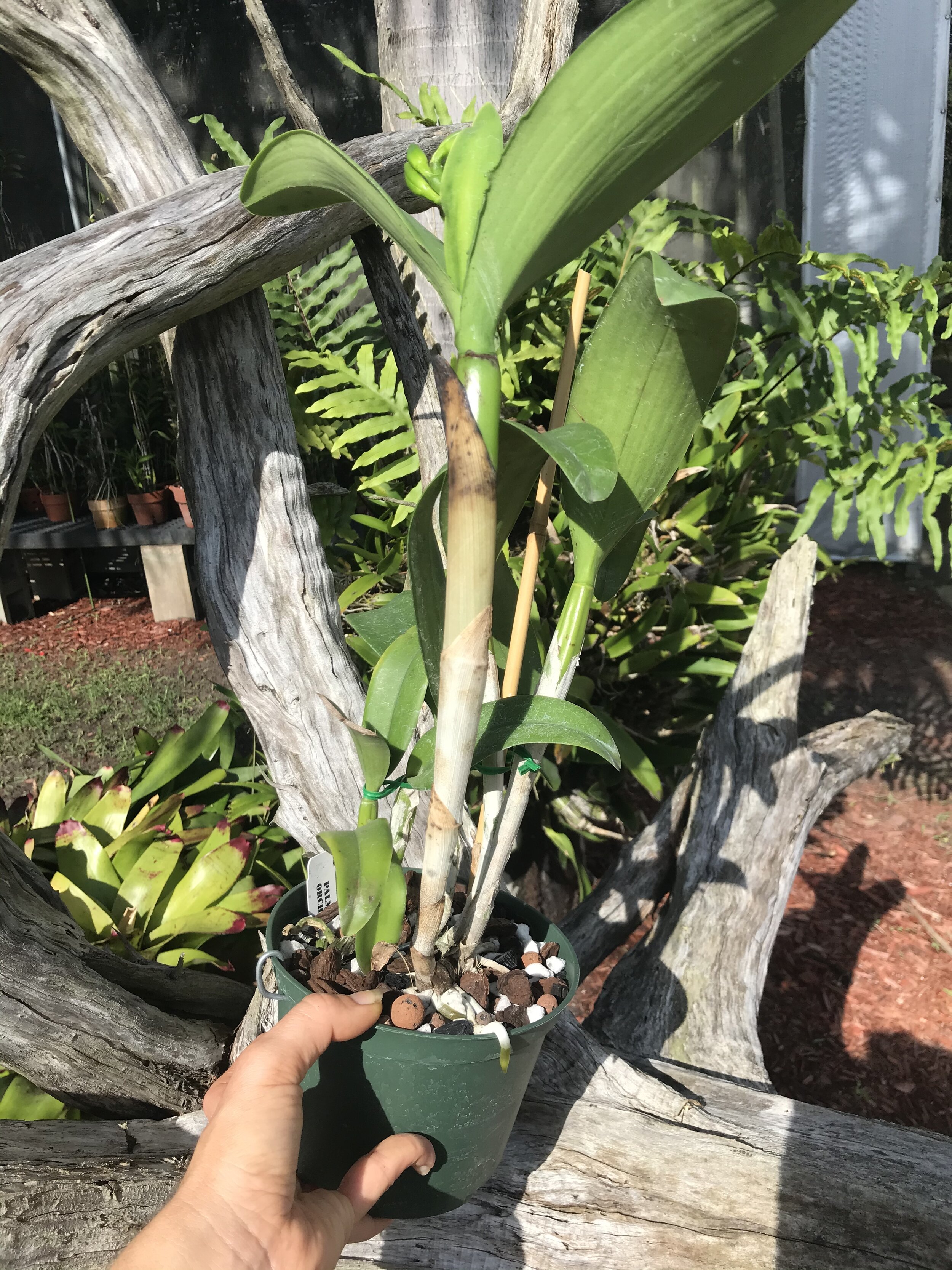 72BF2310-34C6-470E-84E2-DC3C68CB61AA