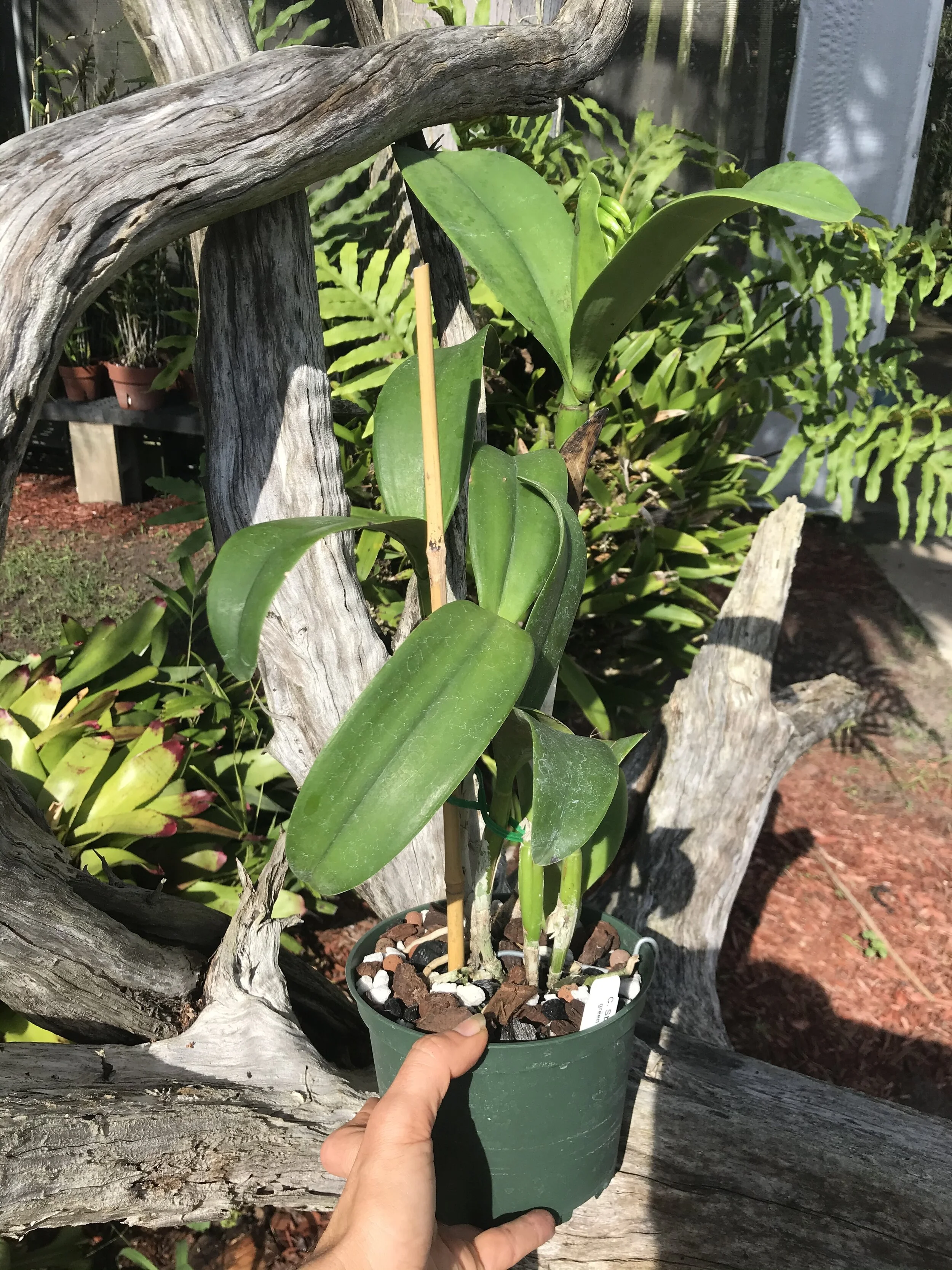 BB5F45A1-2B02-4CDC-BDC4-A9A82EFD65CE