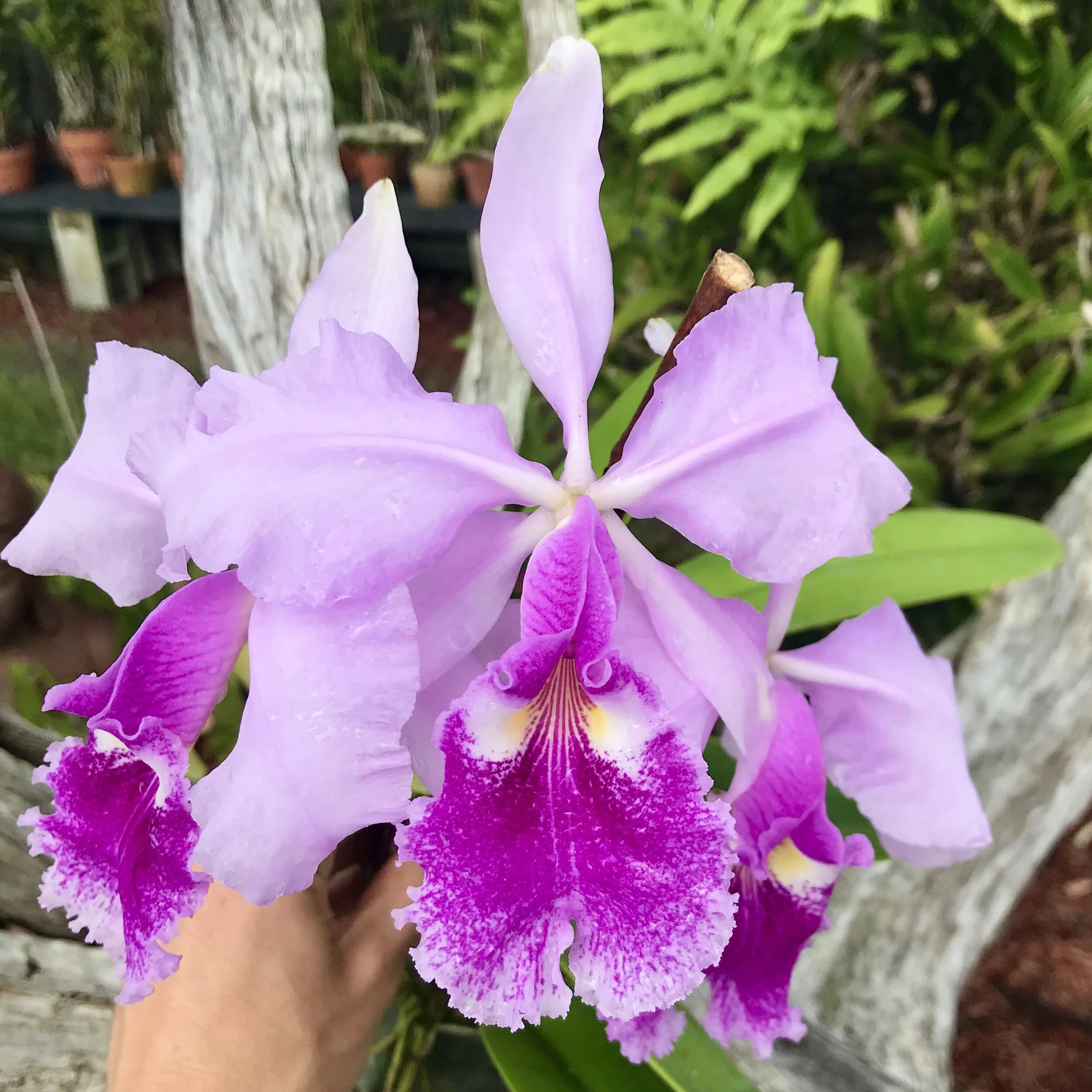 6B1B219B-8316-4AAF-9028-53E1501DBFDD