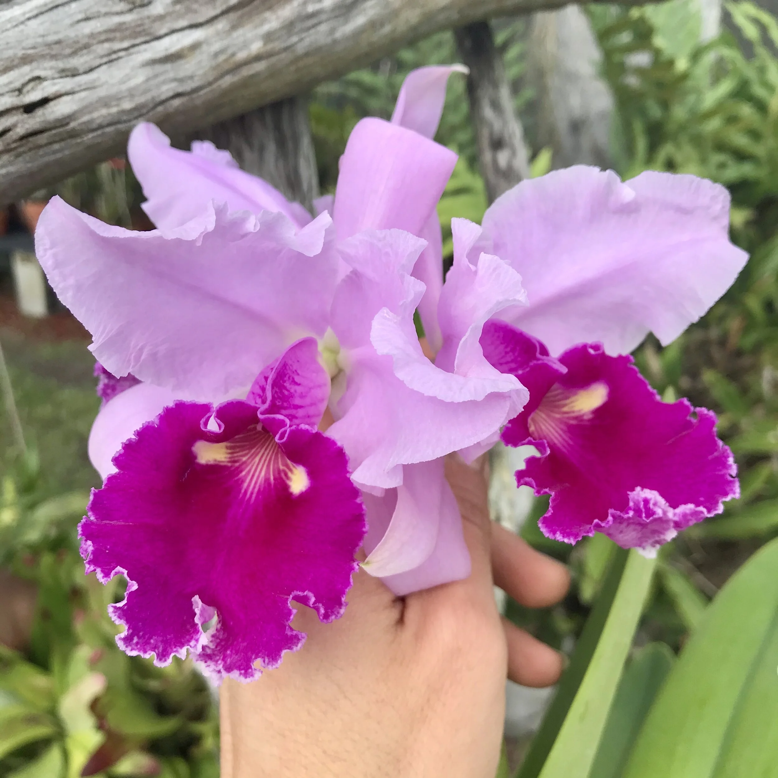 2DC5031B-3E7F-49A4-B663-99C9E39FCA3F