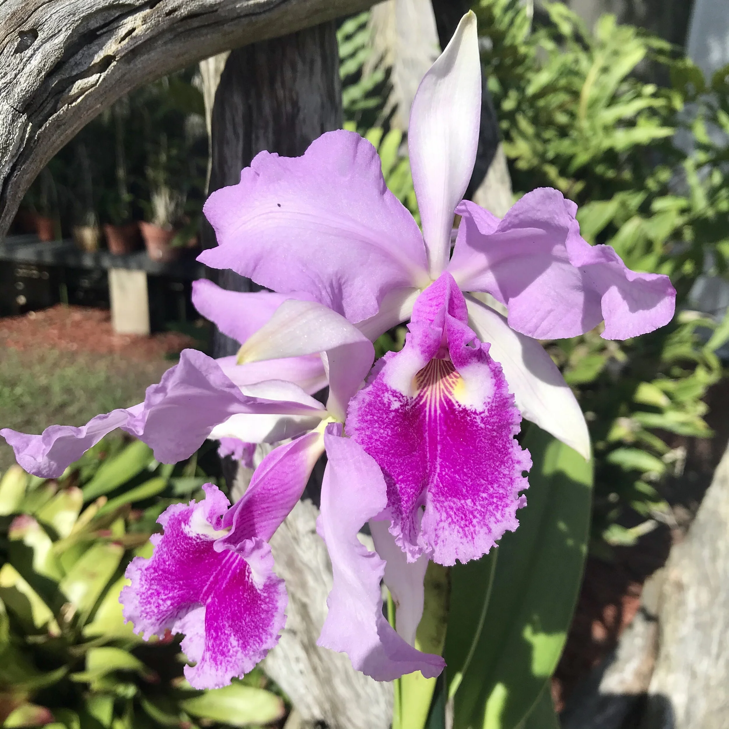 8A3AE4F0-E819-42EE-B84D-1F0FBA576066