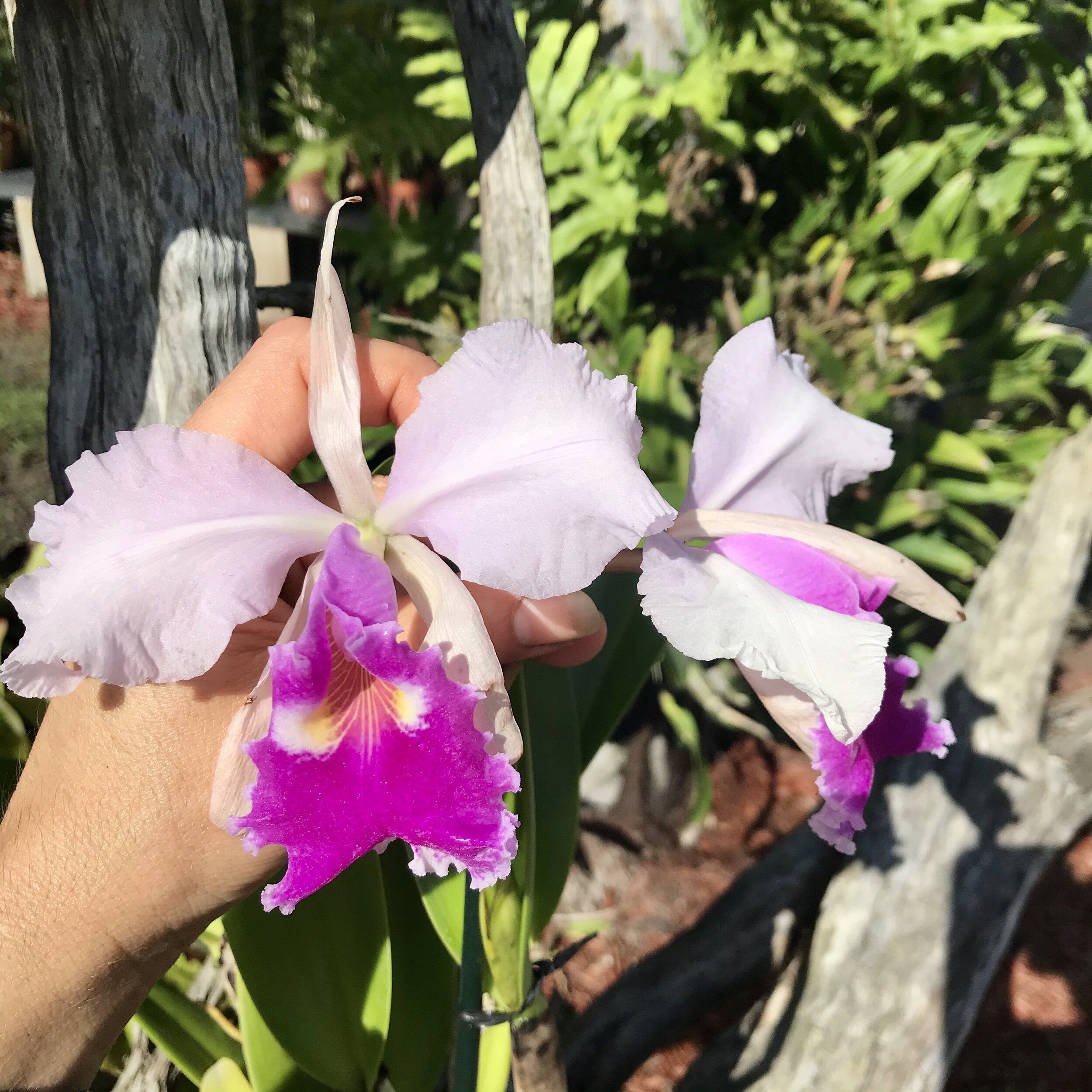 07AEDF19-8307-4BD4-818F-653FB313C0F9