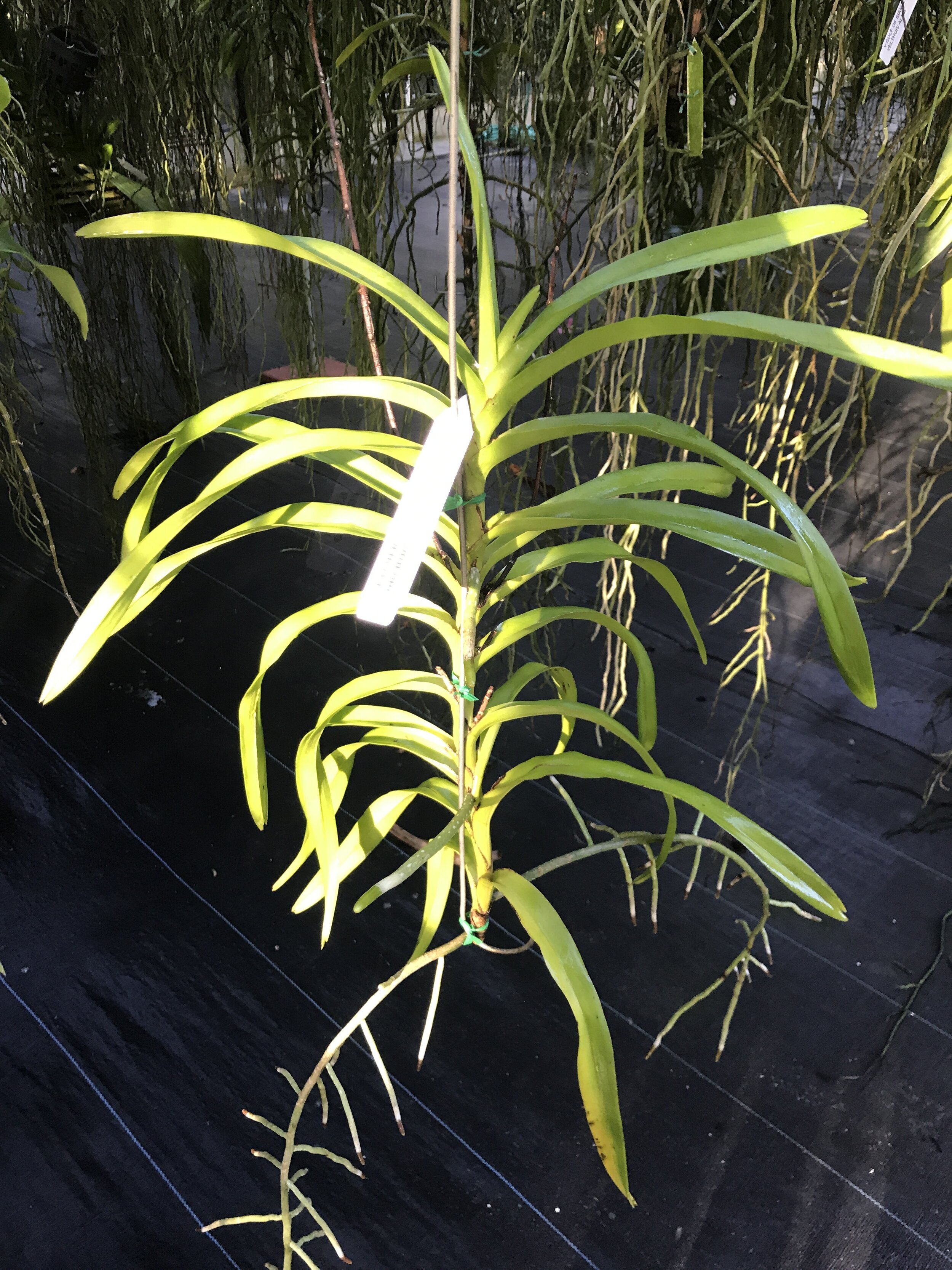 8E4D7595-8374-4AB1-9D3A-5DAF778A4413