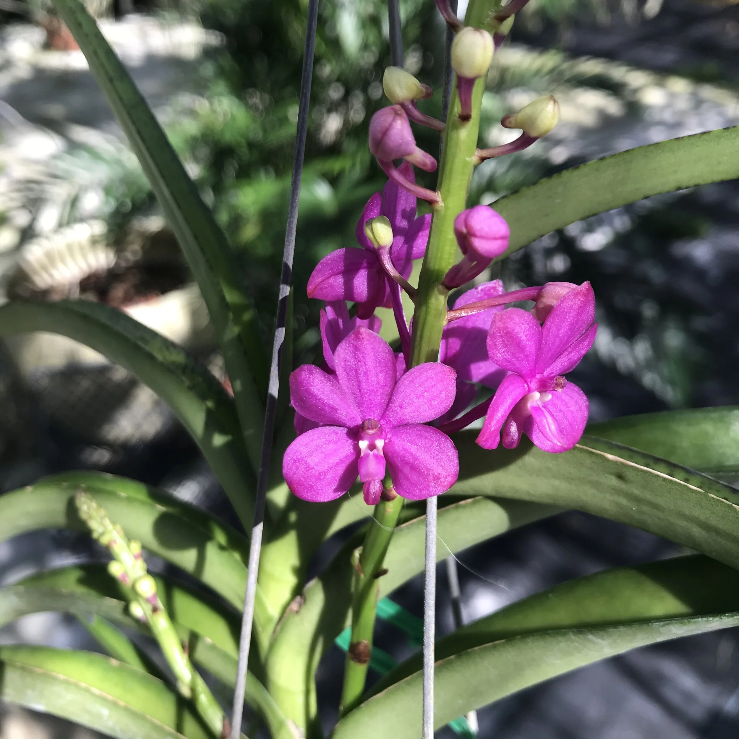 E1FD90CA-95D4-45D9-A8DB-D4E7A5B8B378