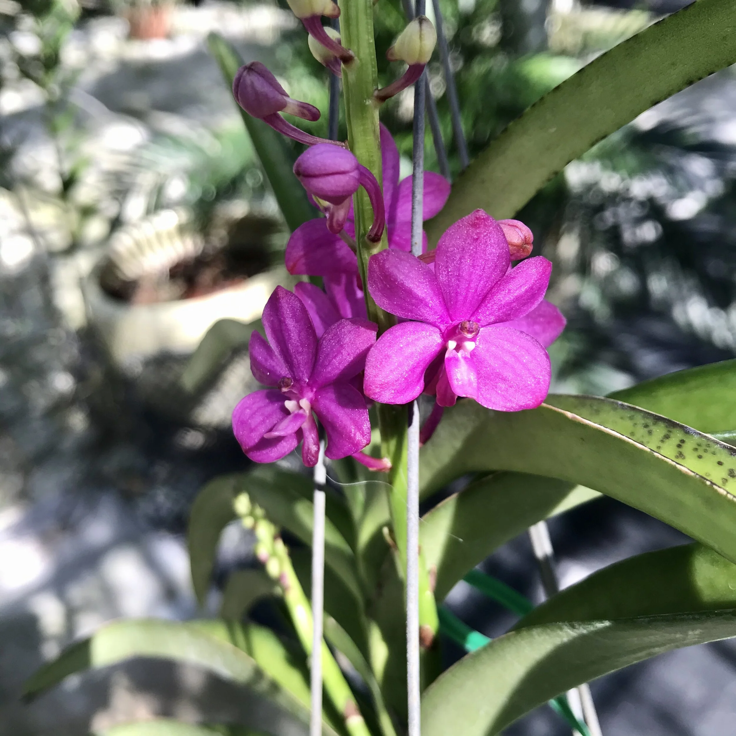 E5AD3E47-83C4-4D83-82D6-A5EFF5C0C09A