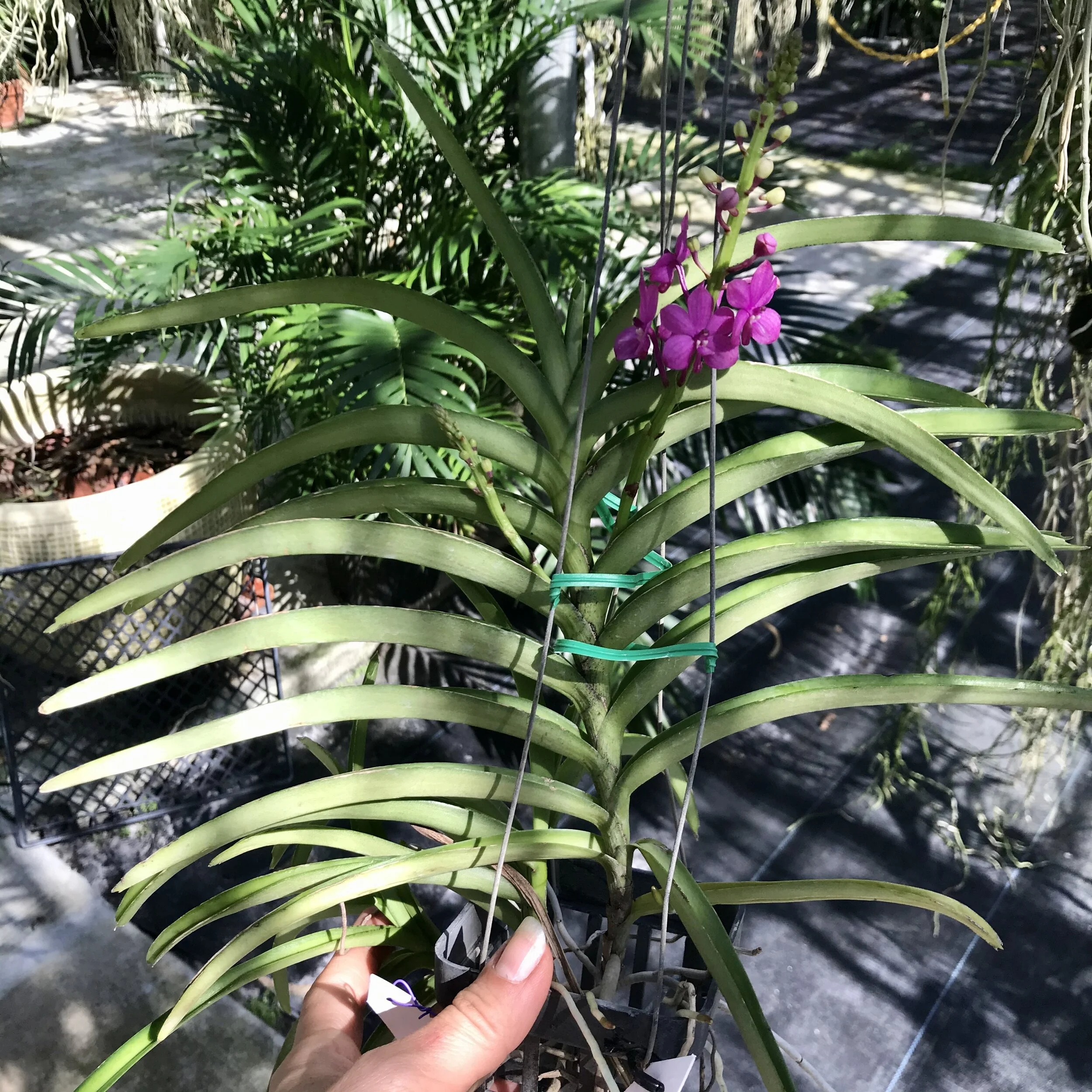 49E0ECCD-D051-4960-87EA-51D13ACA96A8