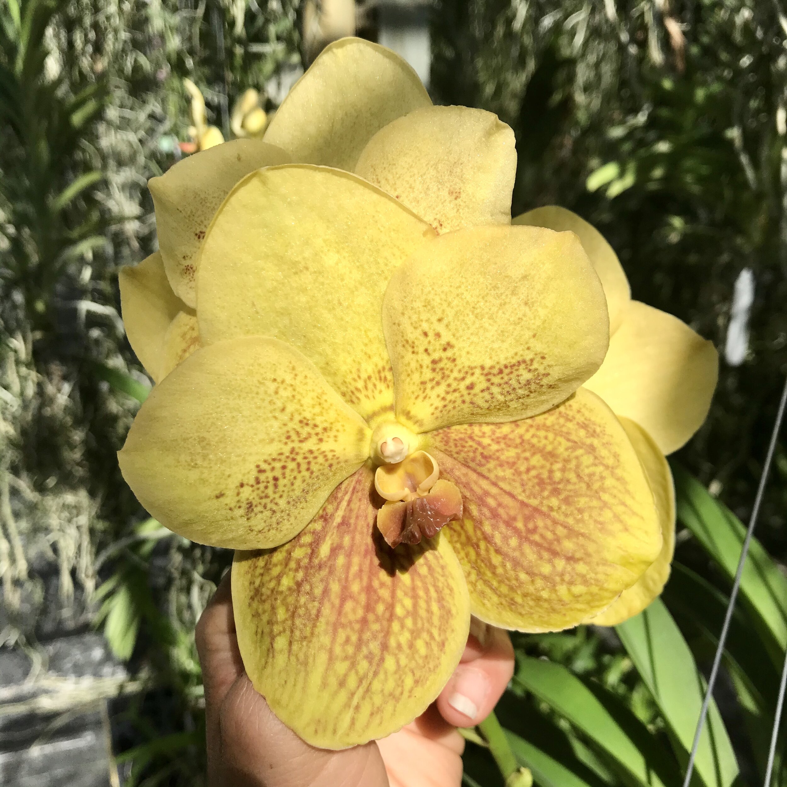 12C50791-C4F6-425D-B258-90373A61CD0D