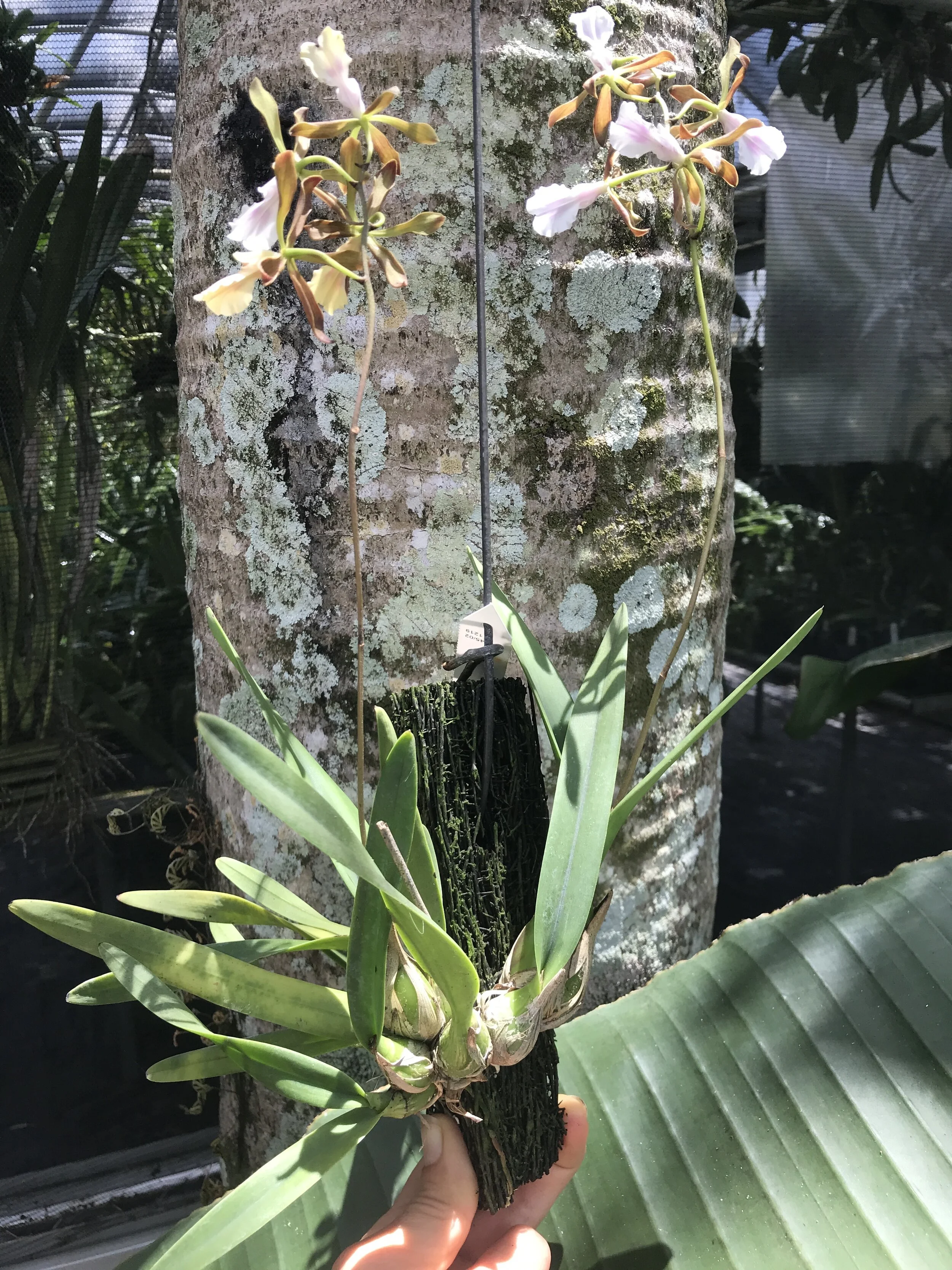 21191CF5-8F36-4EC3-ACDE-422621C8813D