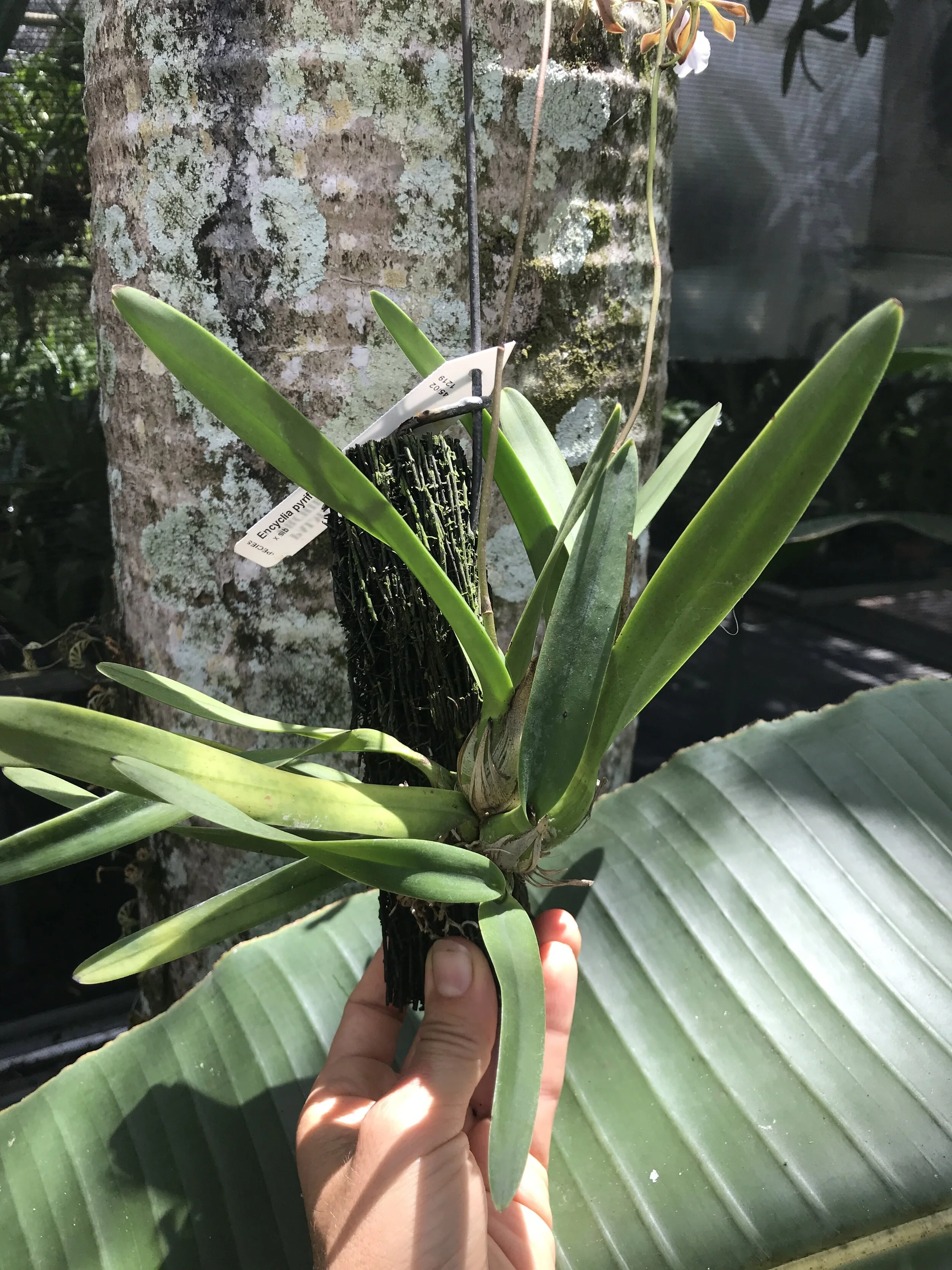 CE9241C2-CCDA-4CBA-AACE-E8E936A36C71