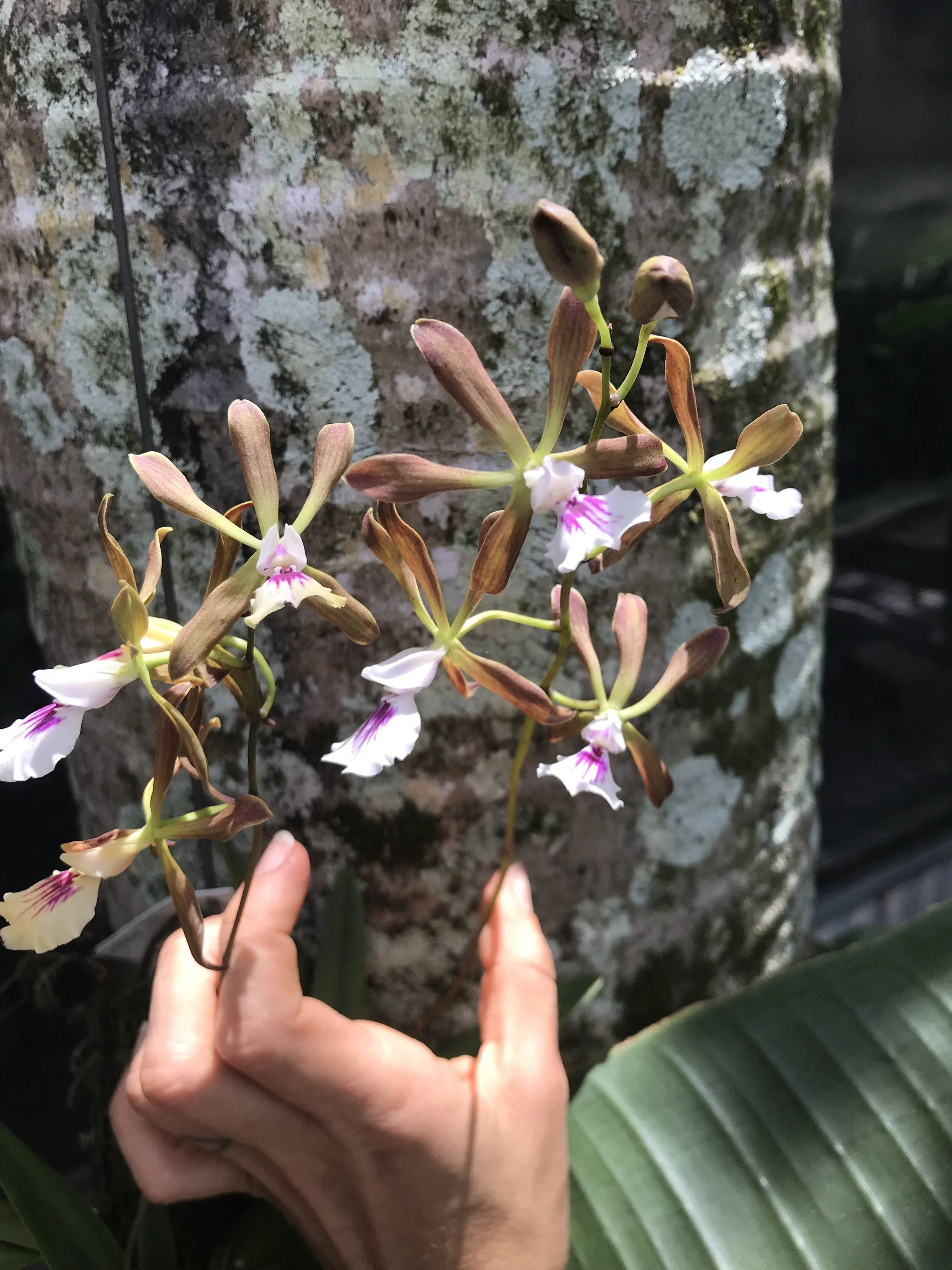 2B859F94-0AFF-4B82-B8BD-4B25546EDB8C