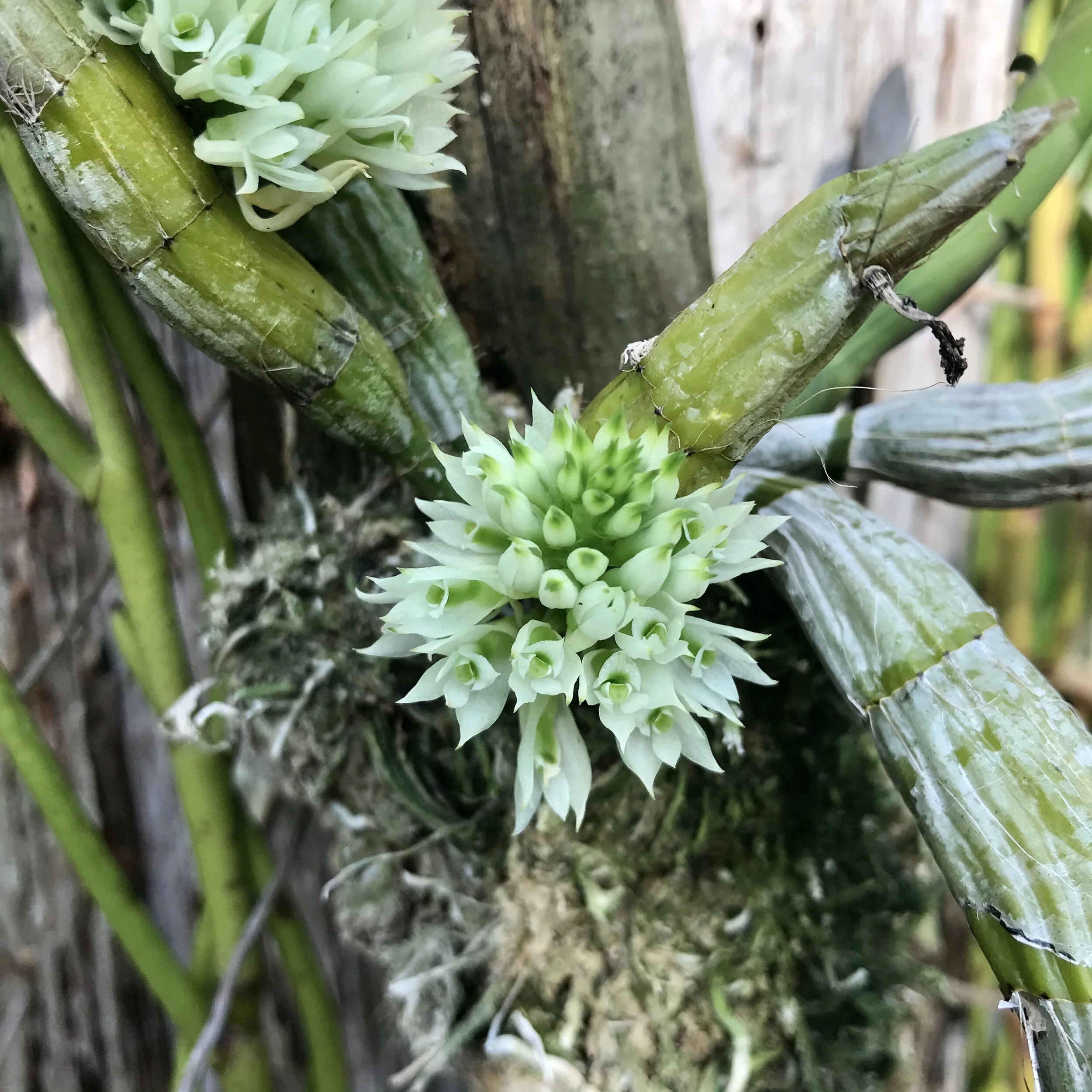 52153DA3-B6D3-4EFC-973C-E4B9F4E173C2