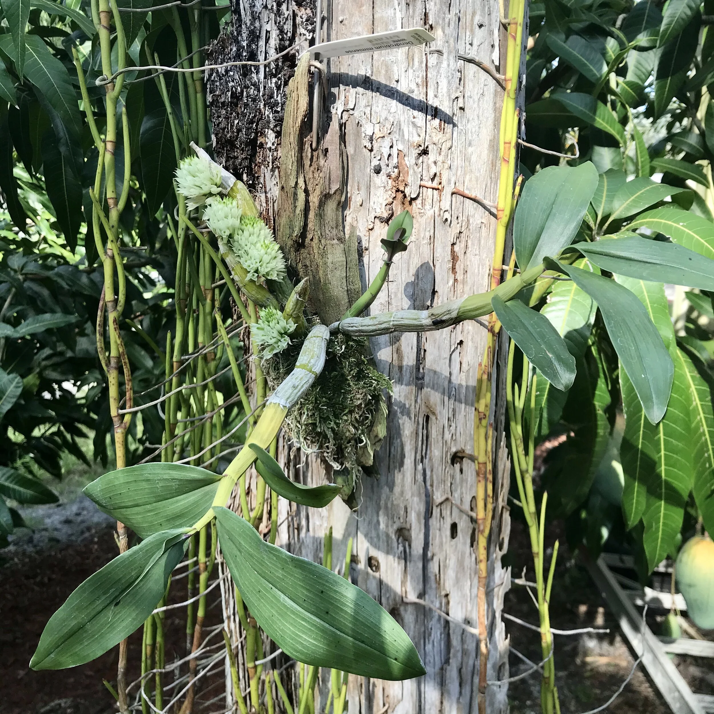 4D0ADA35-304D-4E8B-86F6-C69EE0F3F0F0