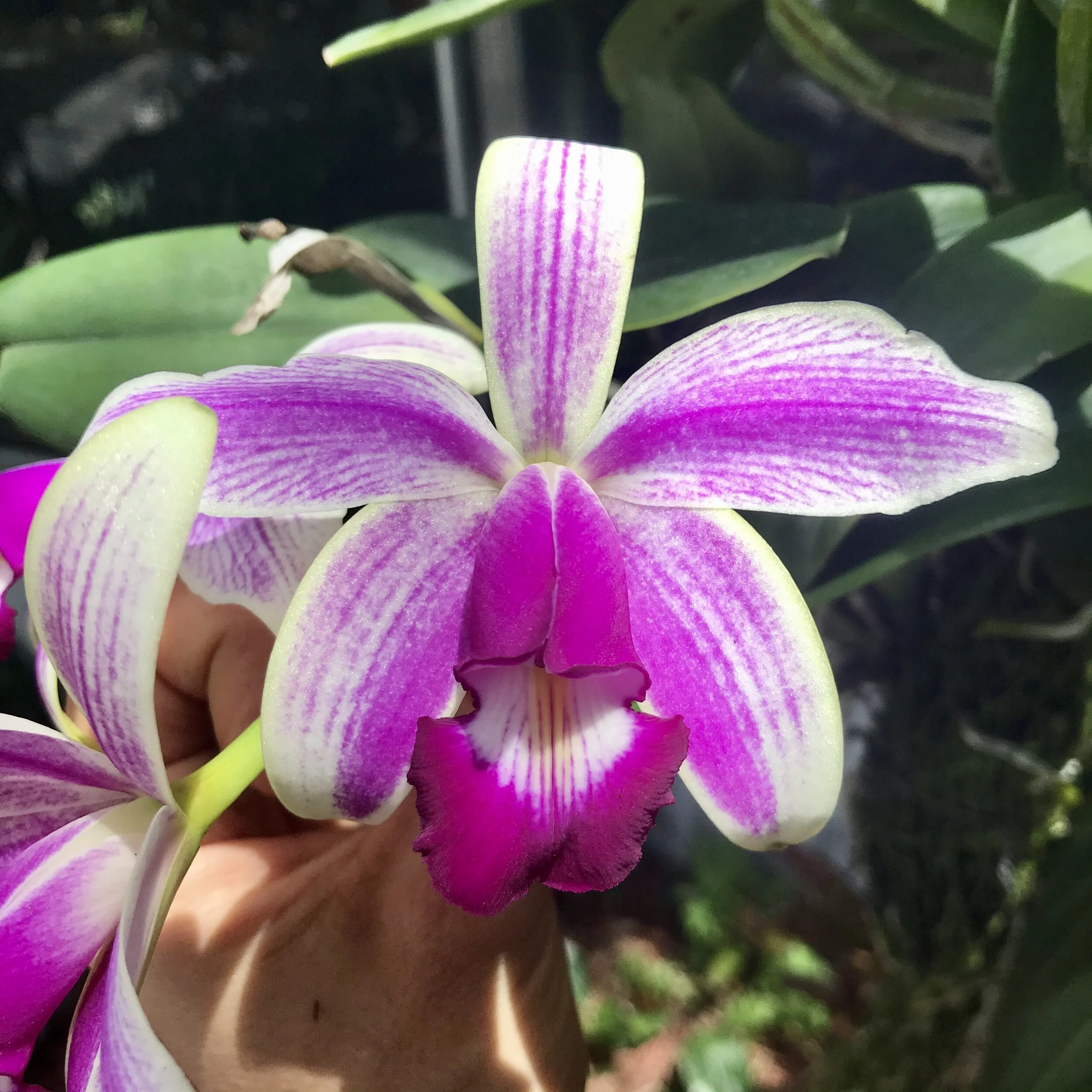 77F80431-52B1-41D4-B2DA-C547E64DF6C8