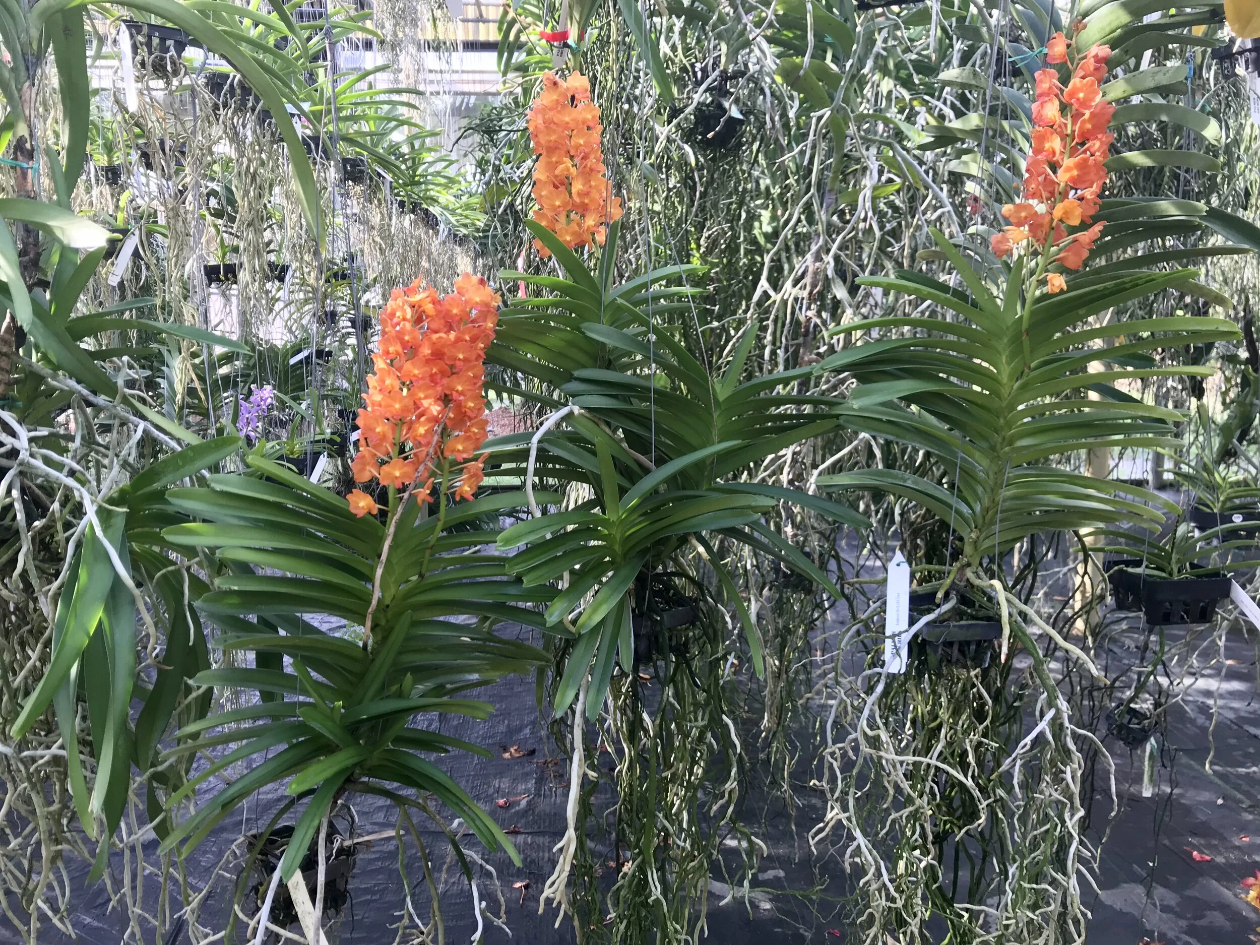 59648A66-DDEC-44EB-9D26-57E899DD0263