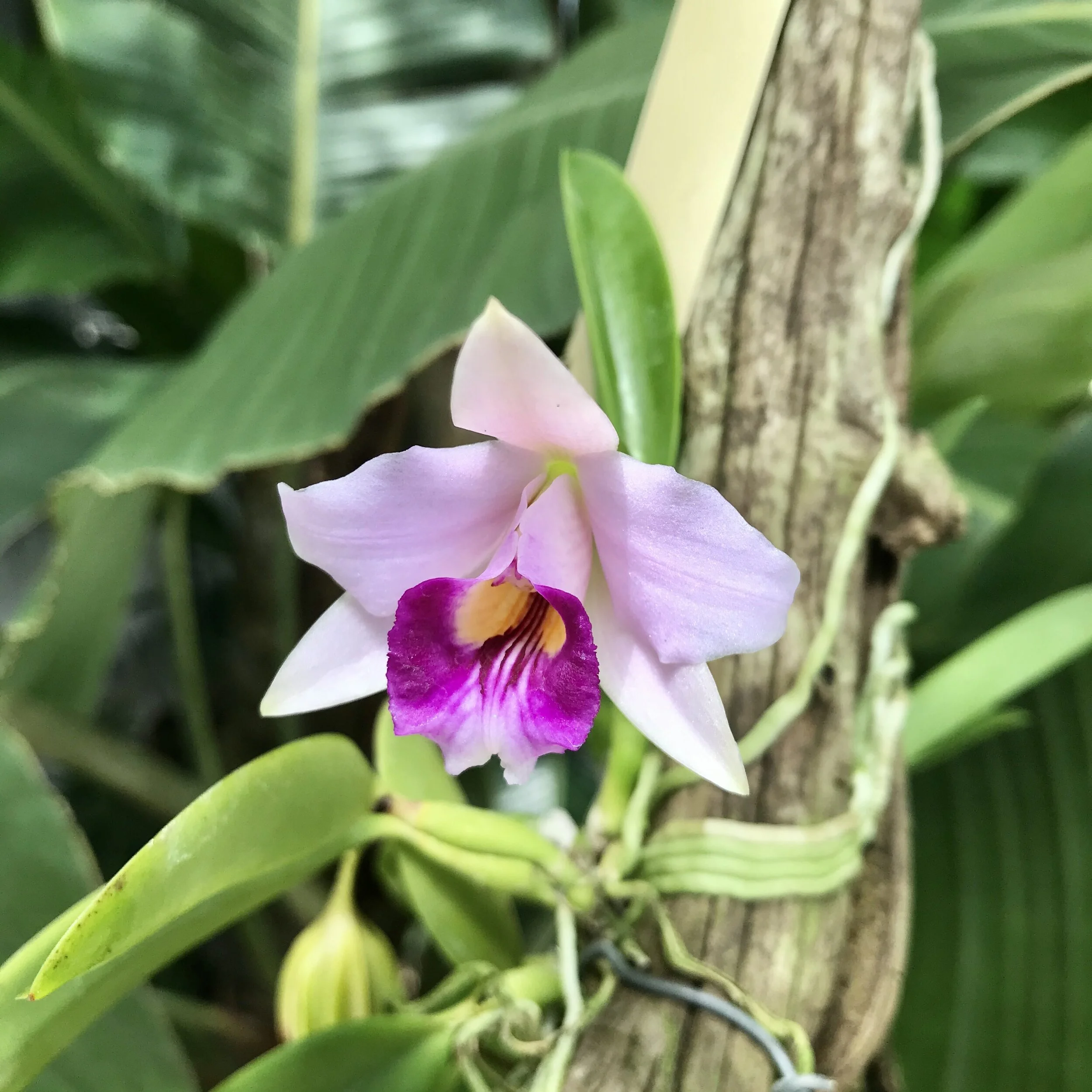 ECADC108-D3F0-4818-A028-F0FC846425C6