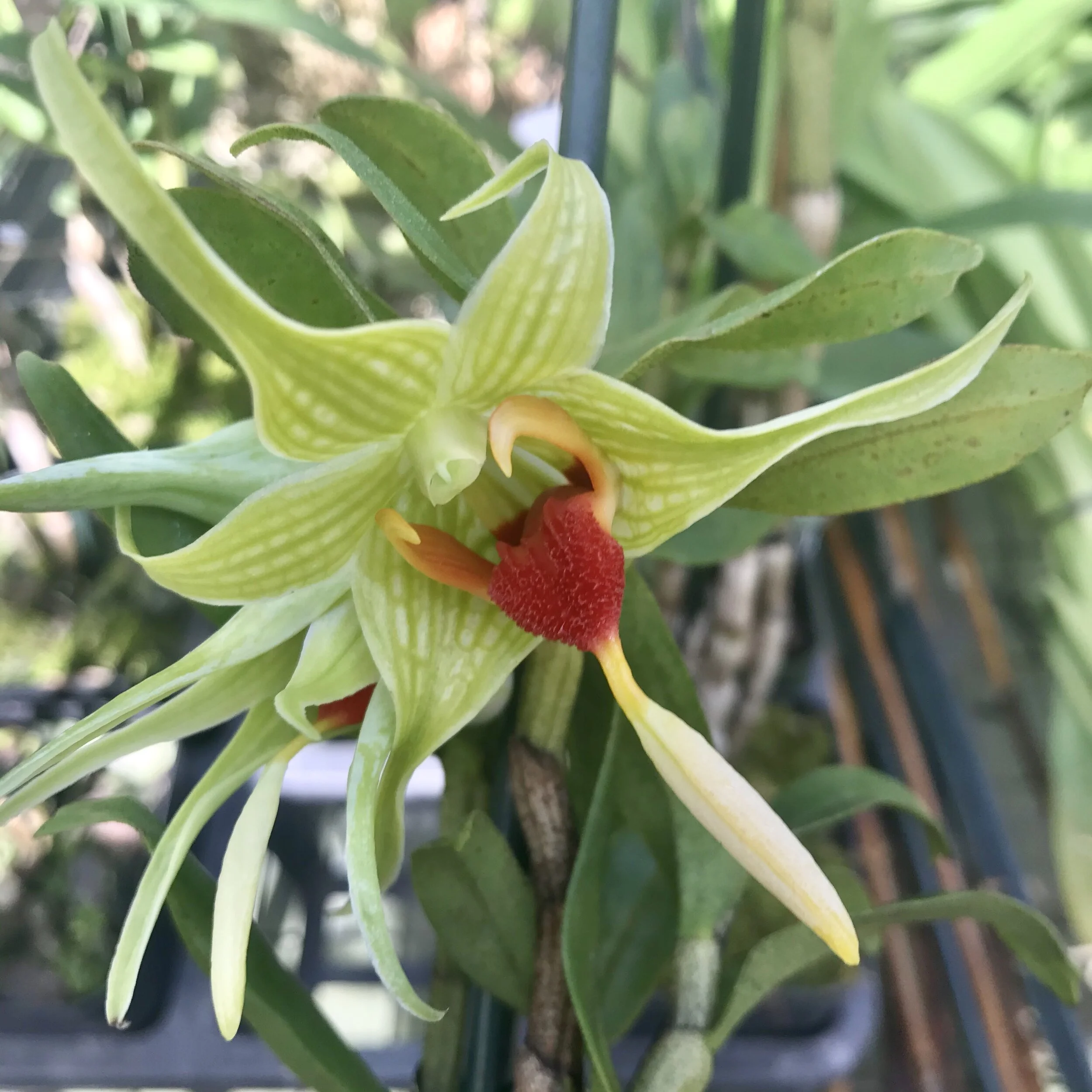 F6D24970-D87A-433E-A294-AC2D56AB848A