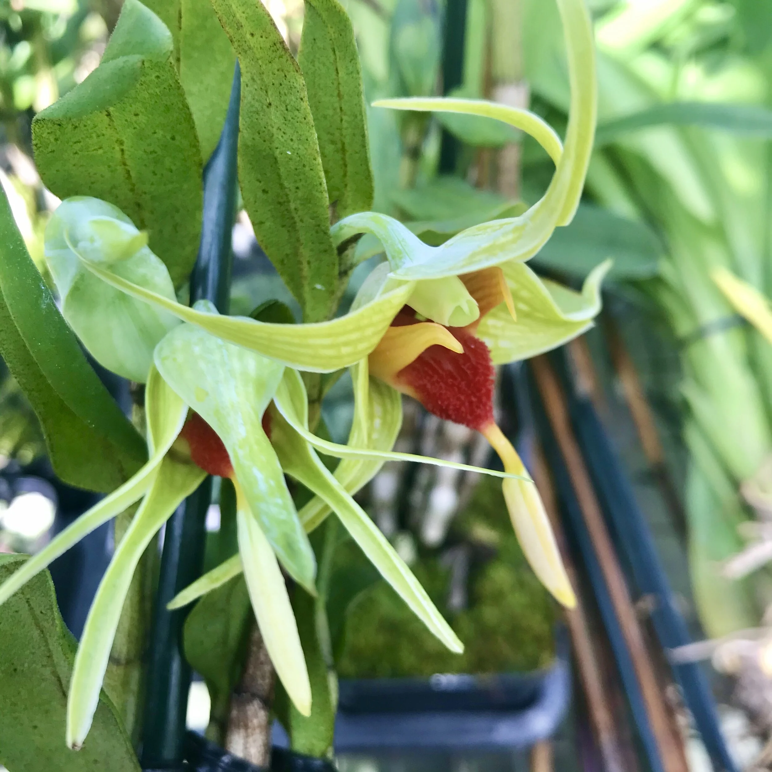 00D1D369-AAB9-4353-8040-ECCC26B1C72D