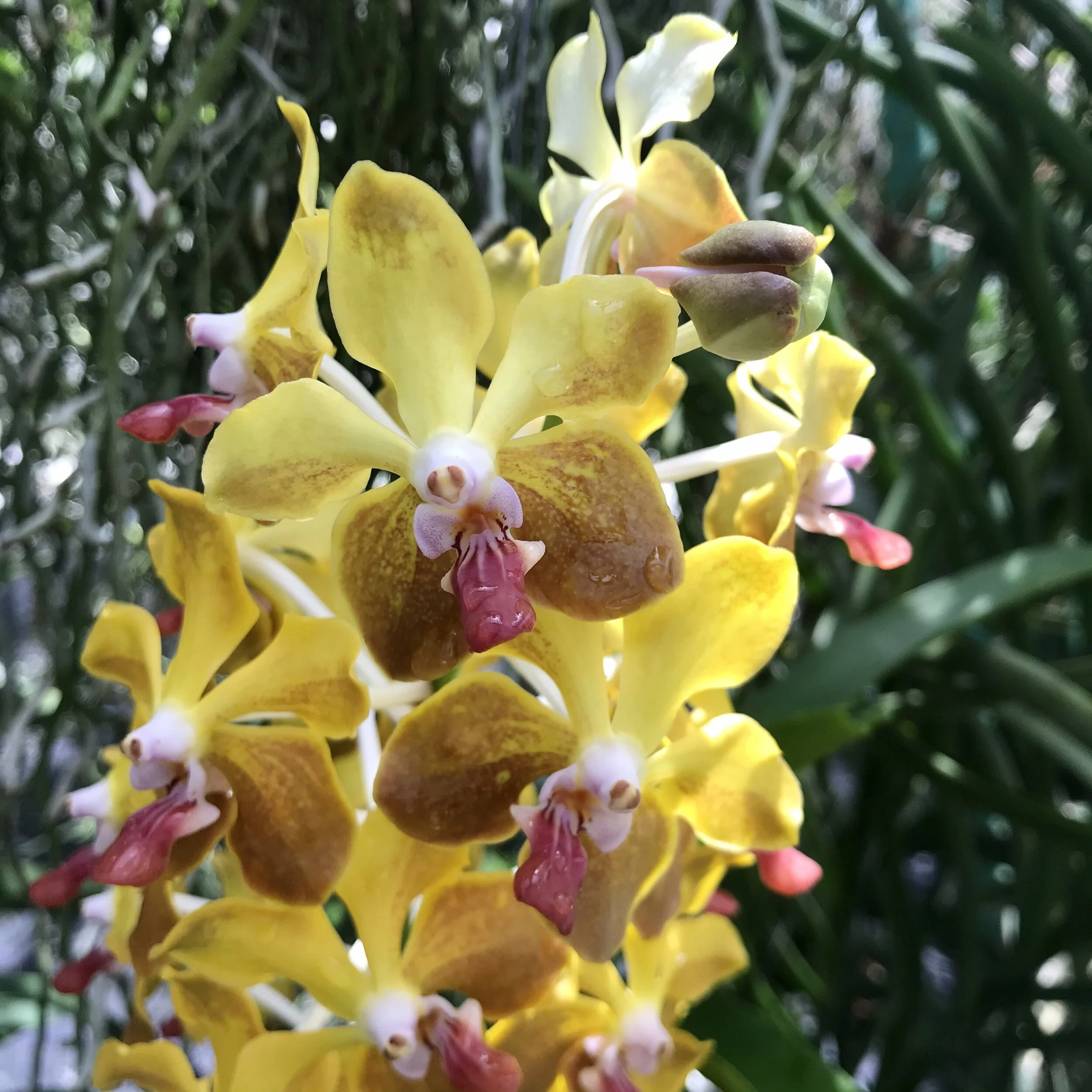 FF827EFC-1E13-49B5-A1EB-A85039B94F30