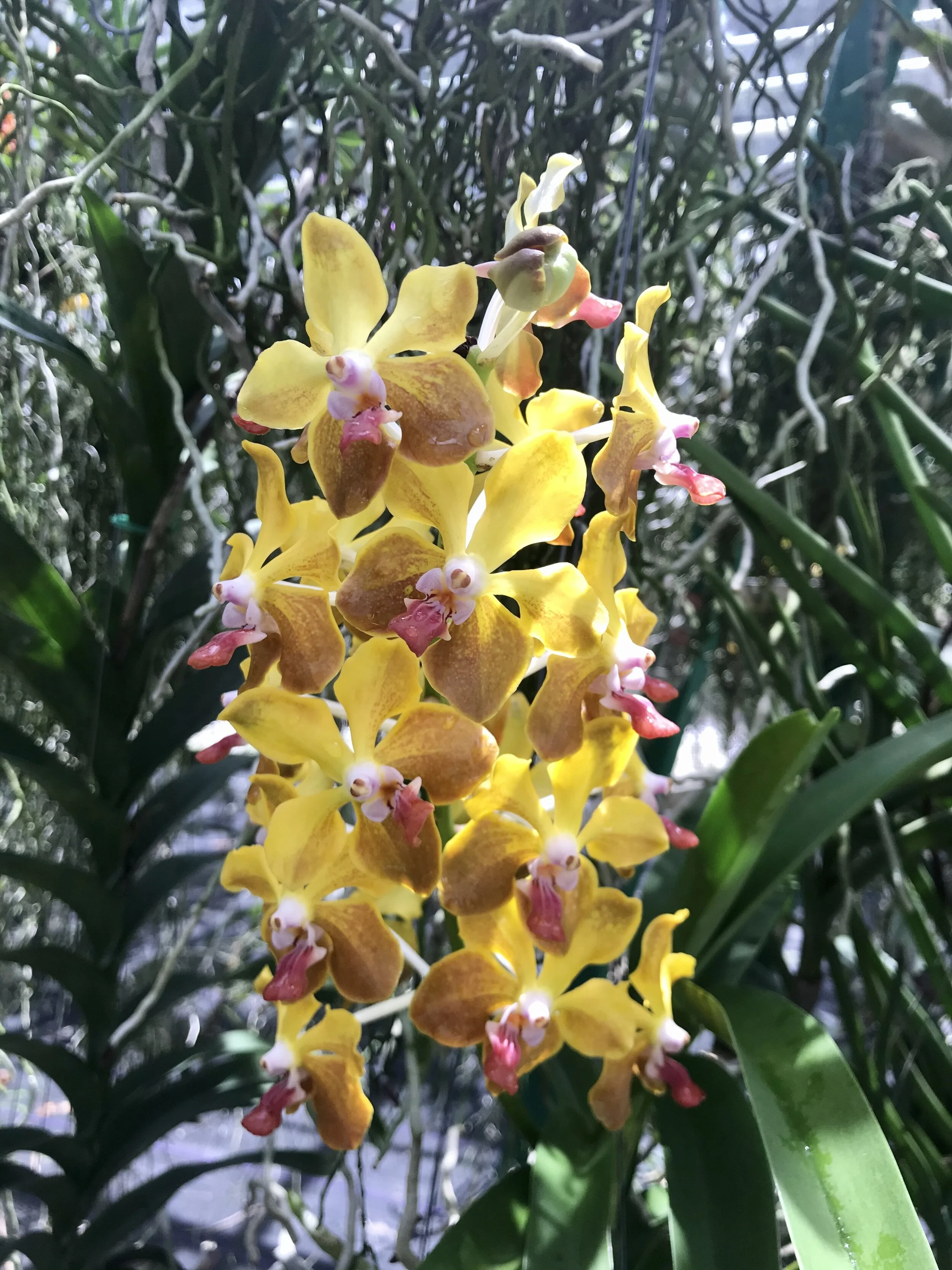 0E3C4EFB-5AA3-4021-9479-8DCE48D8C6C8