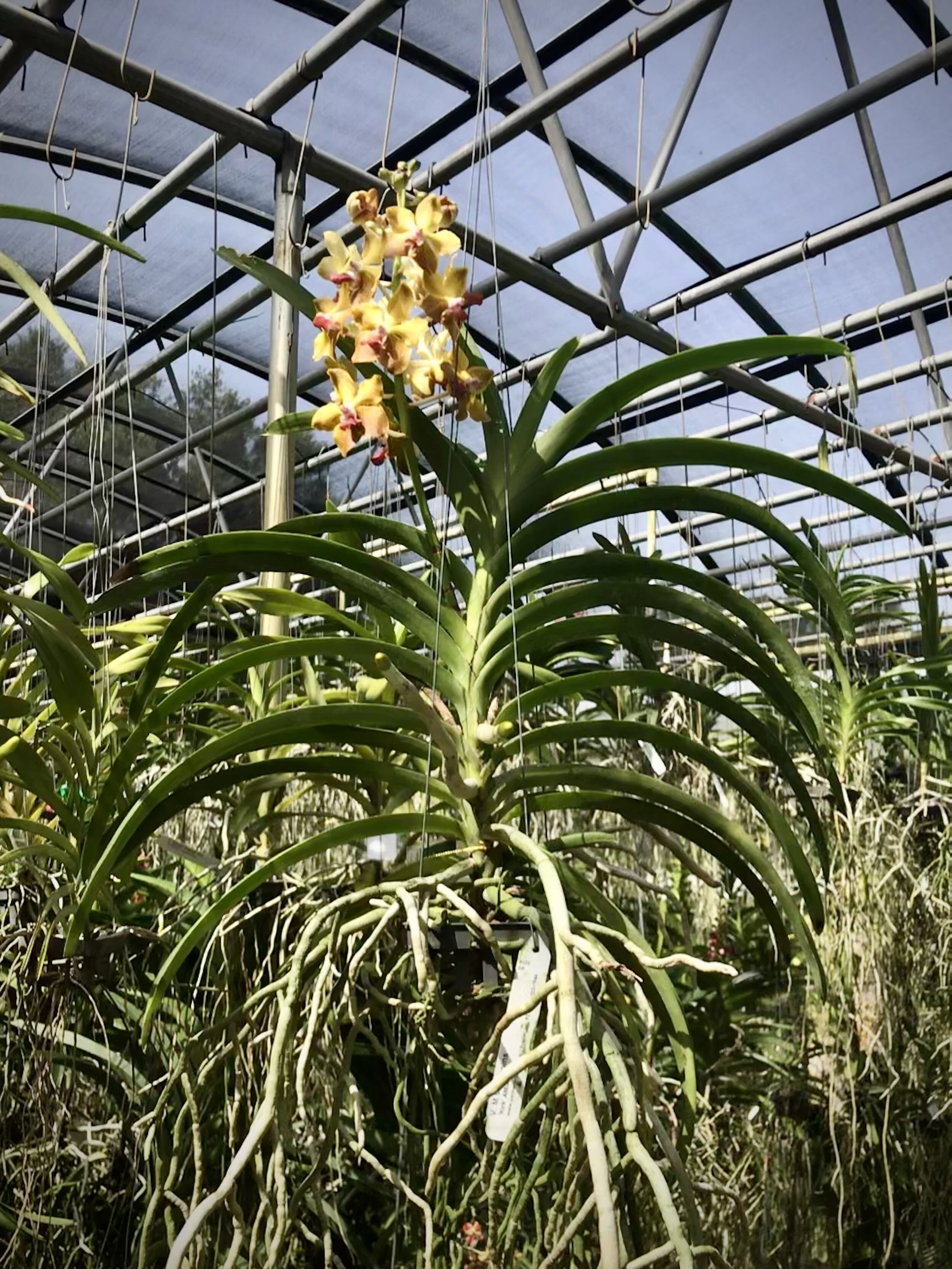 7A8ED62B-FC93-4A01-9C7D-4659985D7EC9