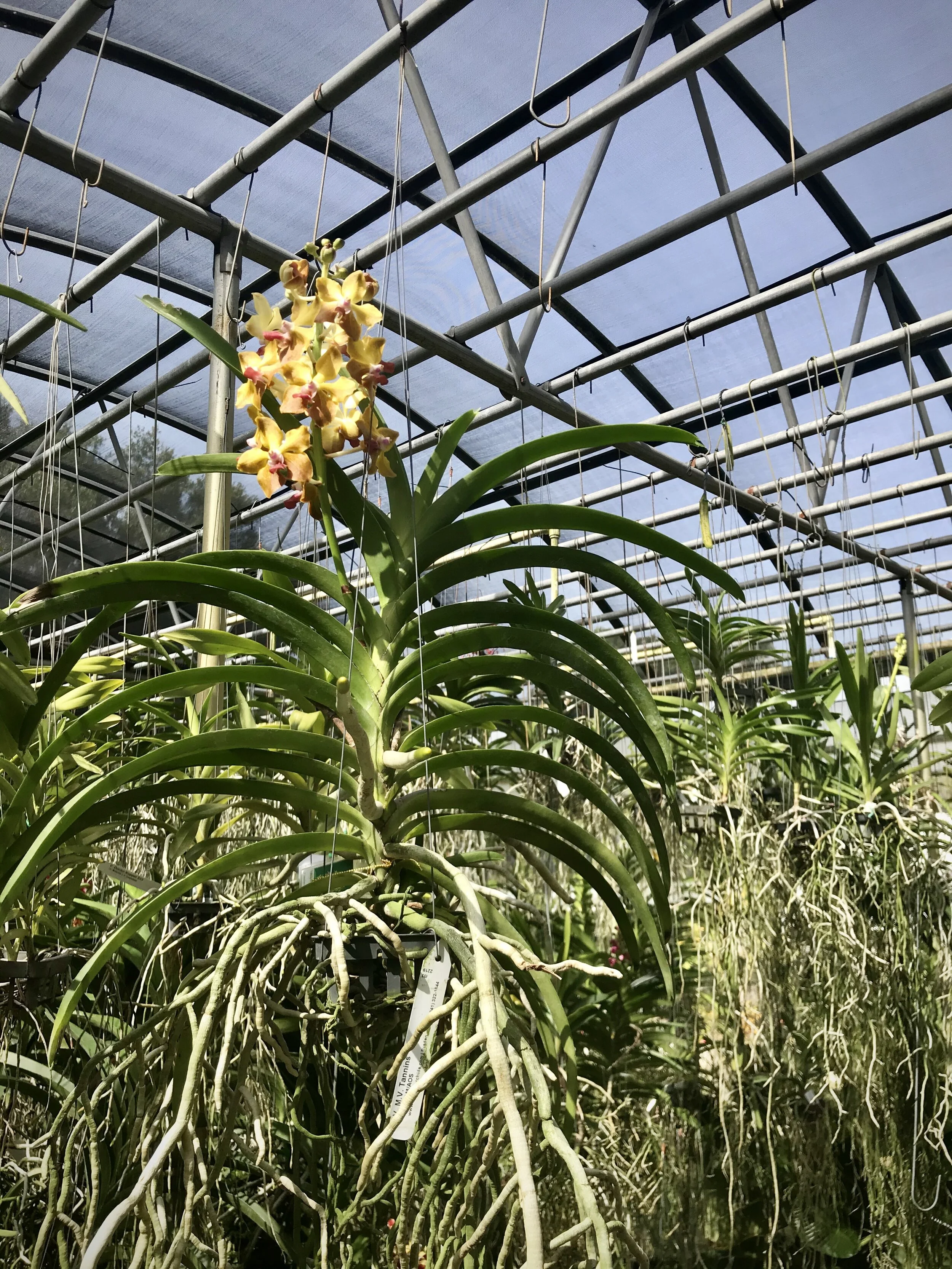 D389D72A-2019-466E-A9F1-F3491C423B62