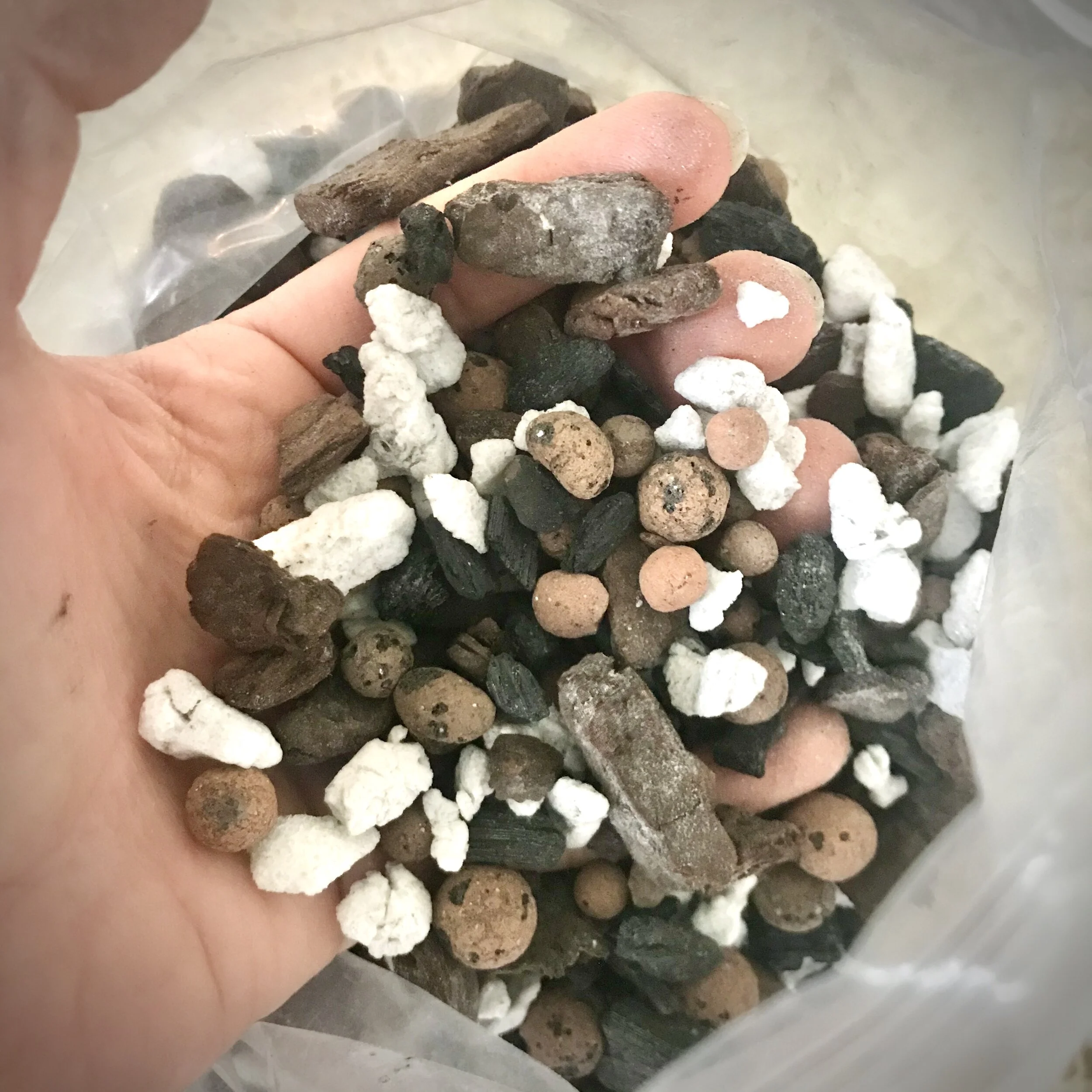 BBB5409E-2A11-46FC-954B-15F7CD56D194