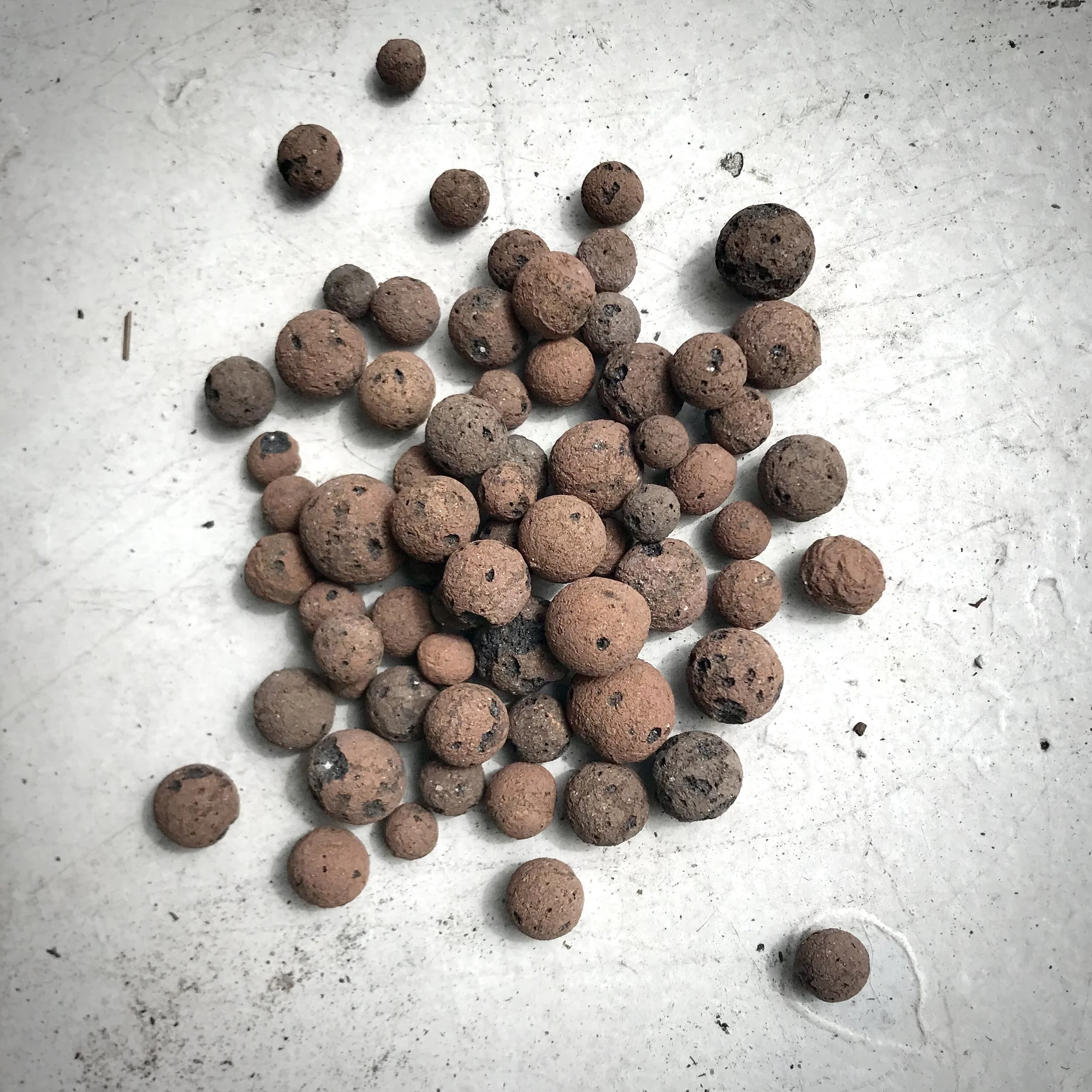 4AFEB8D2-CFBD-4B22-A034-DD159B15621C