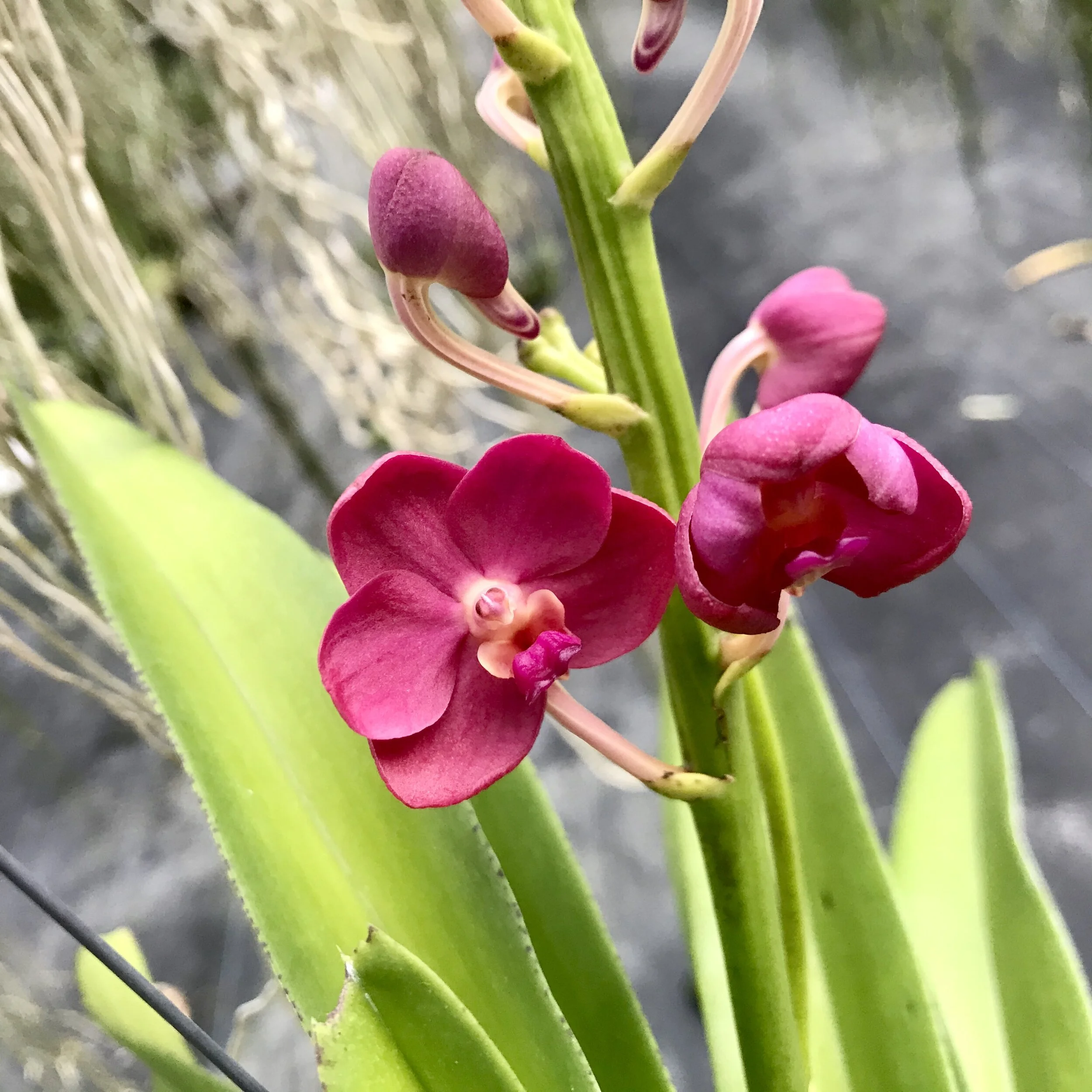 E45C6324-CFE2-4EAA-B895-AA8525BA2C8E