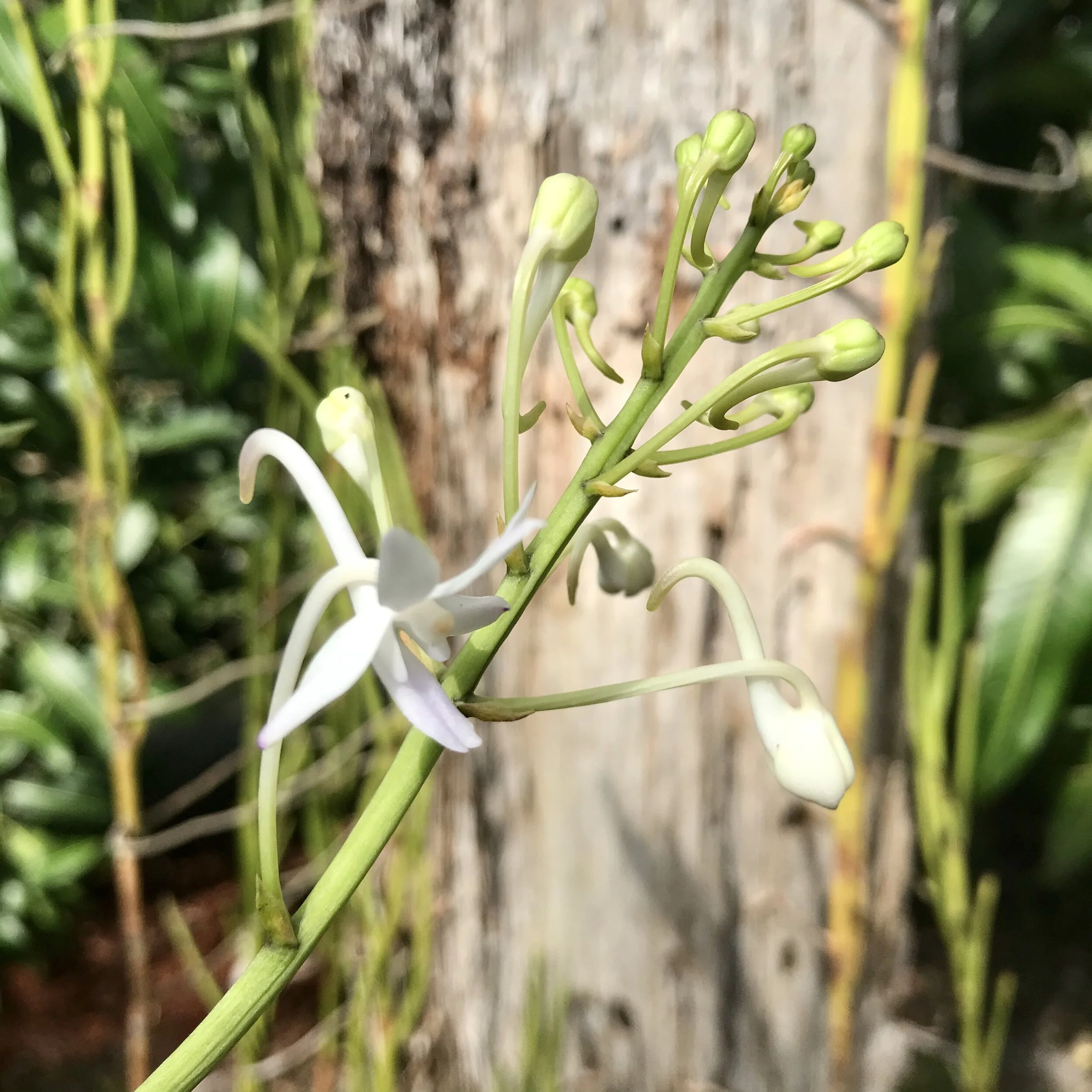 D05A8E00-86B5-4286-9CE3-E15CB981ECF9