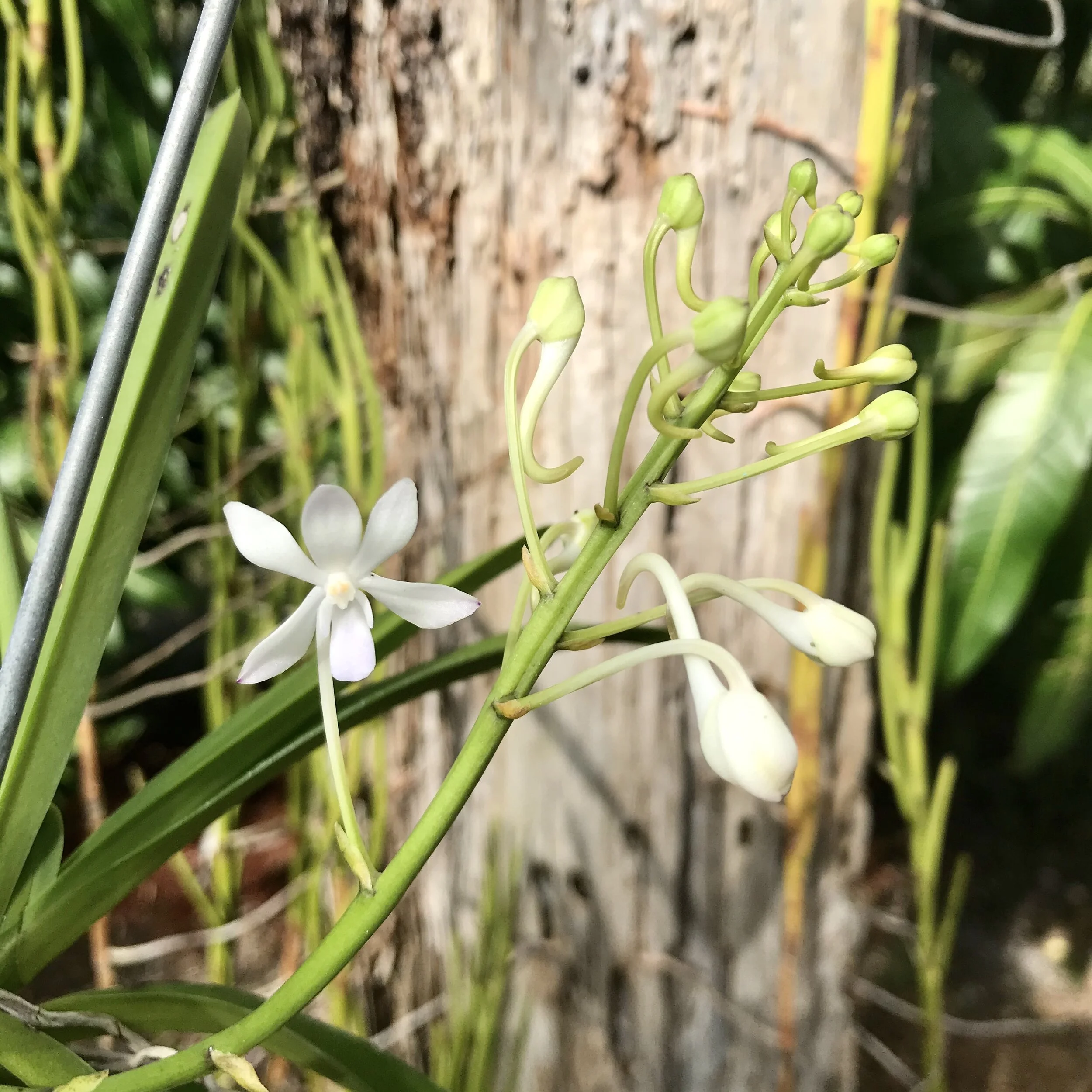 2594C347-FA3B-4CDB-B135-D1588BD633C0