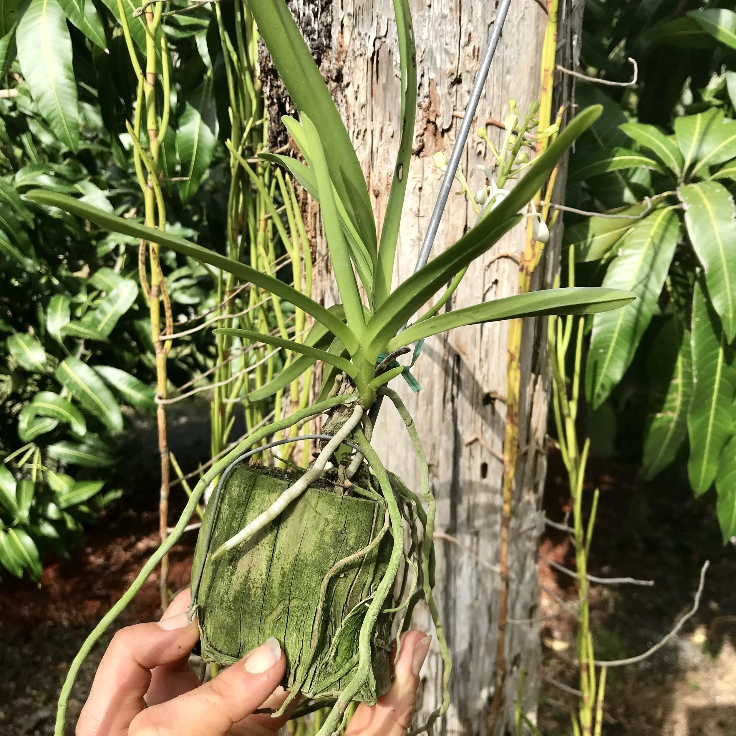 2F832A46-A4A8-4DF6-8A44-5A2702A49807