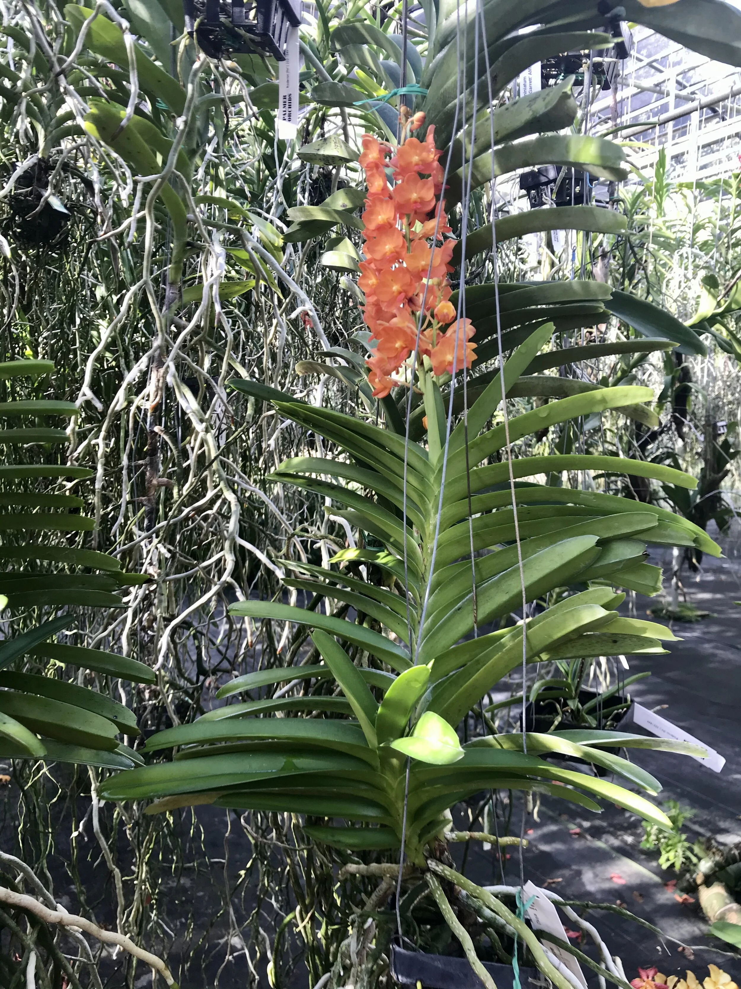 B4D69DE2-2A75-42C5-BDA7-4AB403C28503