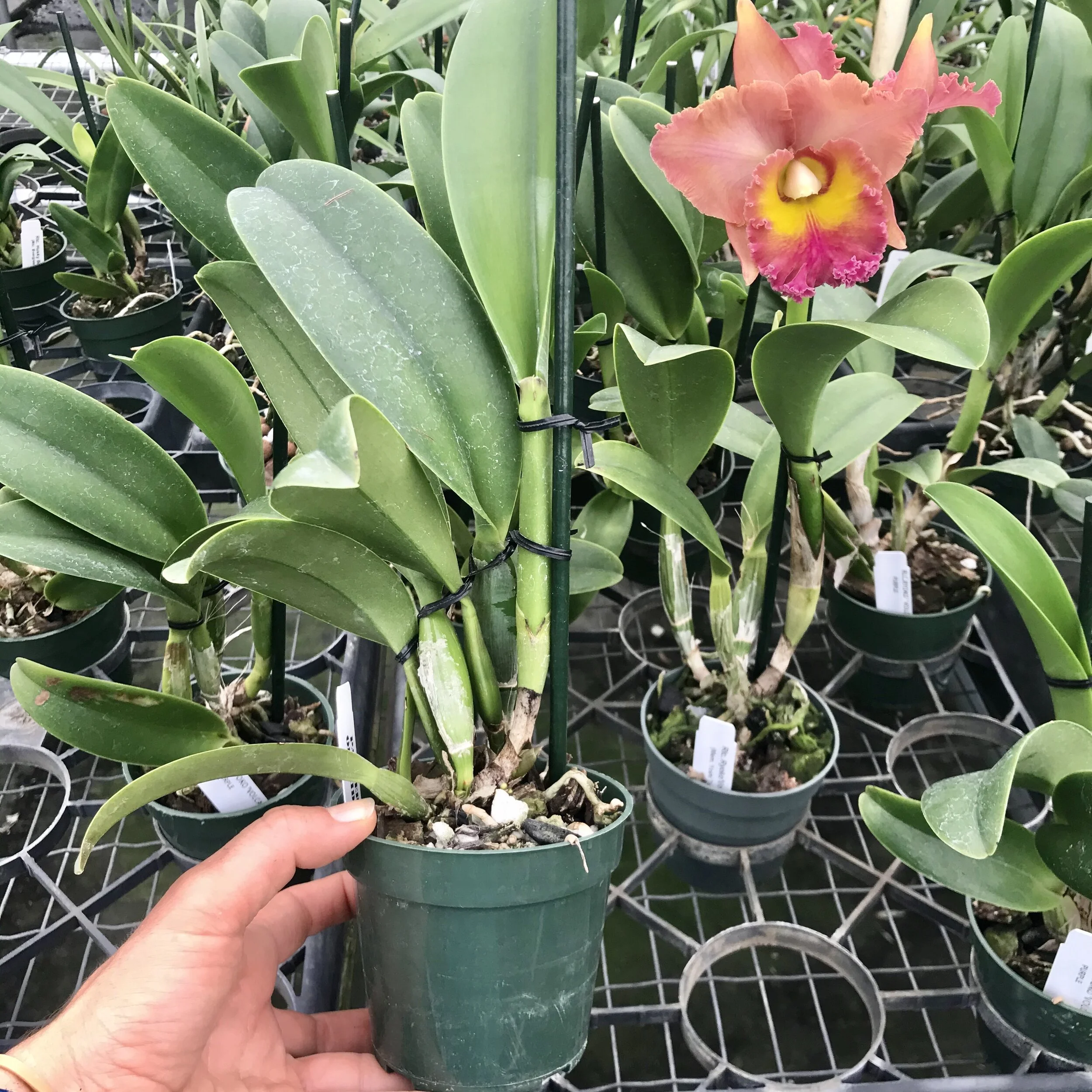 28615997-1F88-4D37-9FF8-5B62B9F67B3A