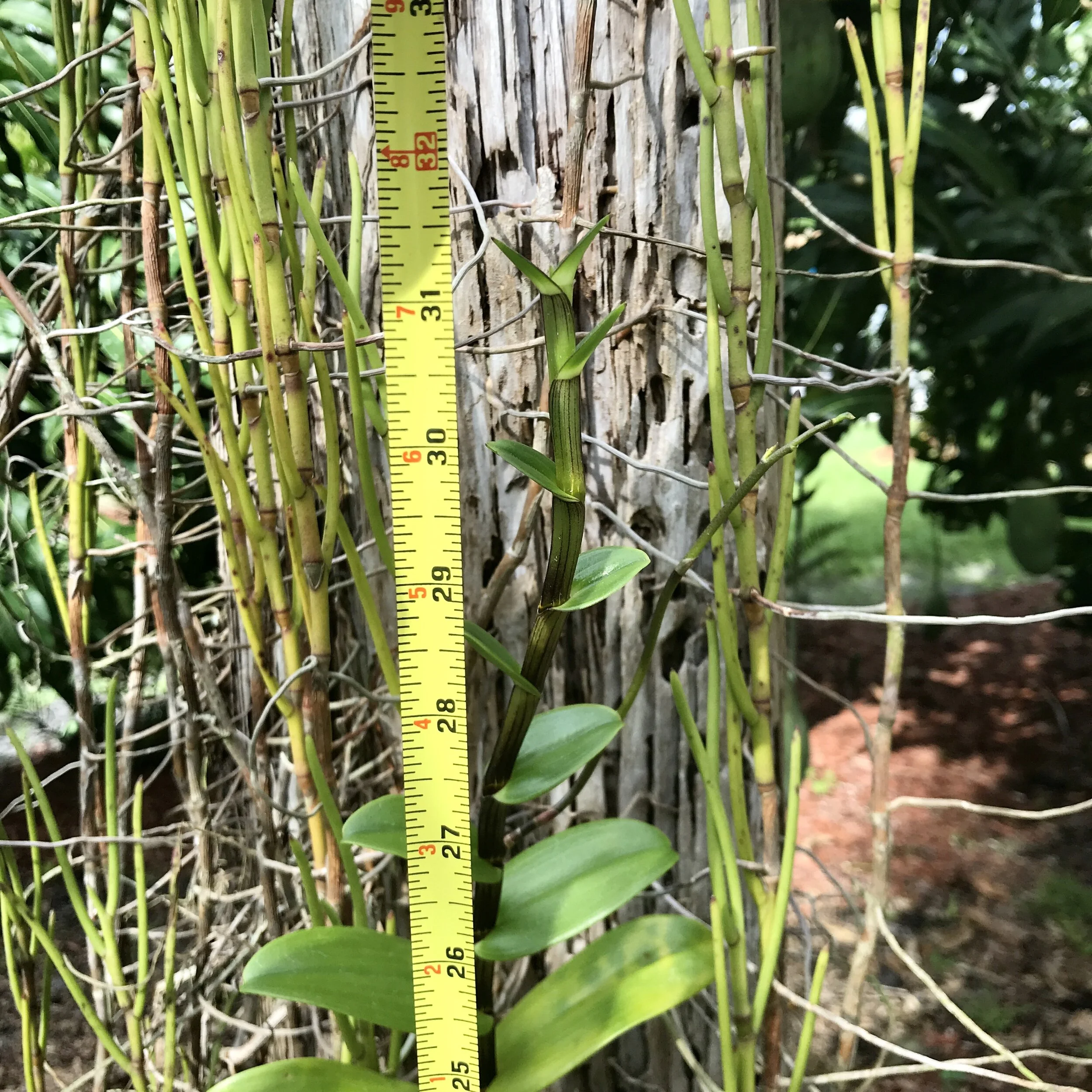 7B40DA1A-D5C0-47DE-A64E-44BE150171CE