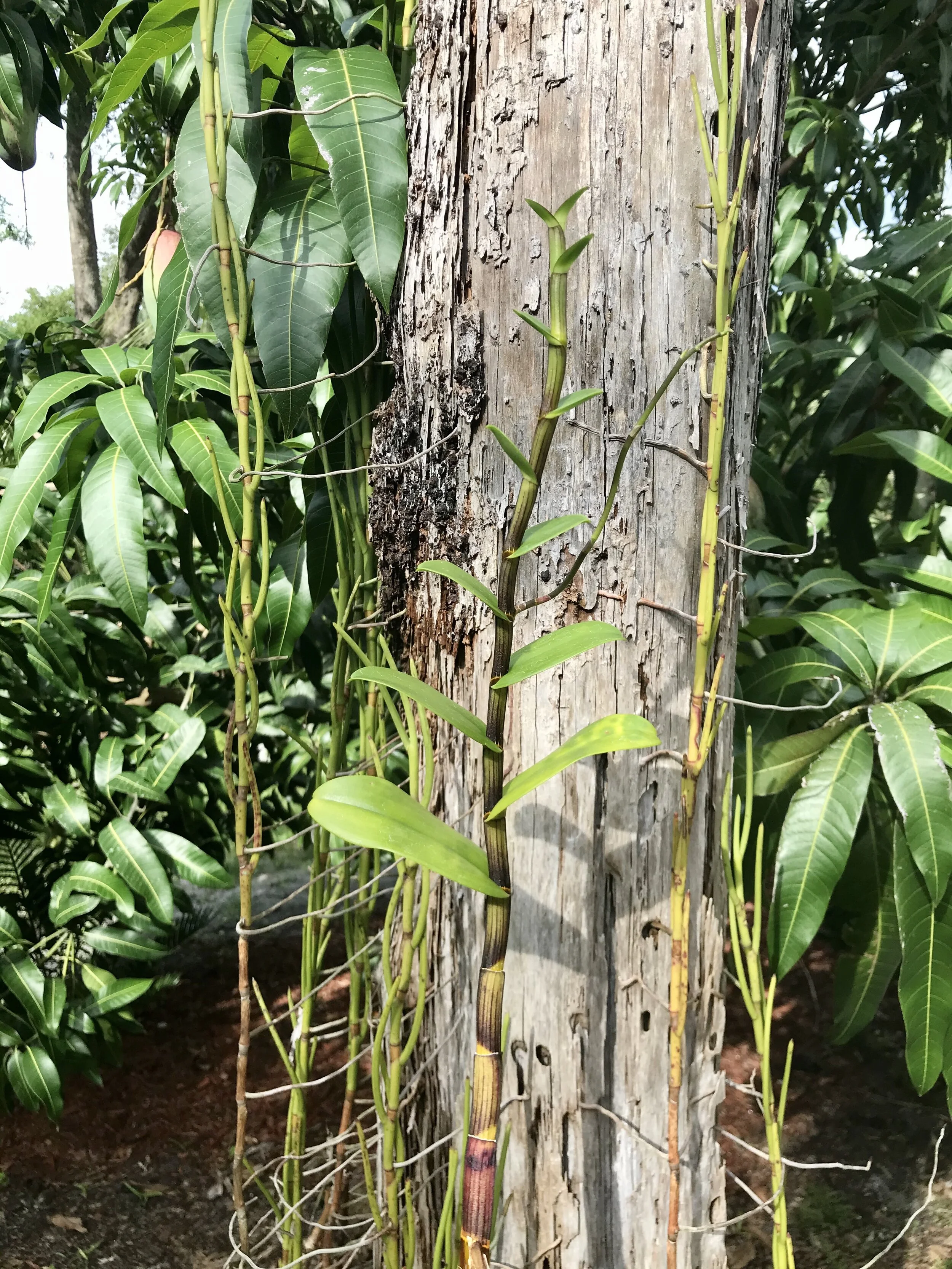 B1F9A2F6-1E6D-4698-9181-6603B7C9F85E