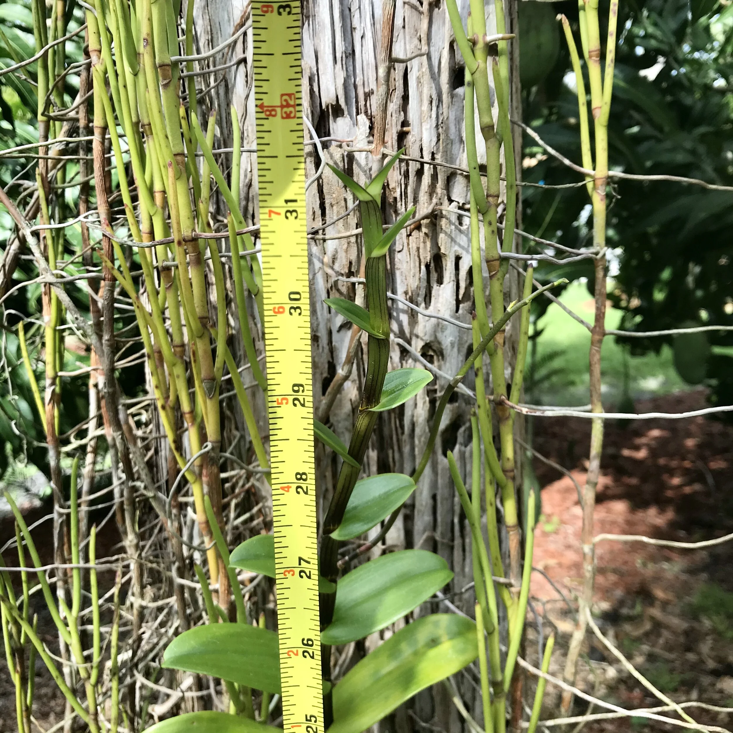 B7D79D44-E9A0-4EC8-A330-E652CD40454E