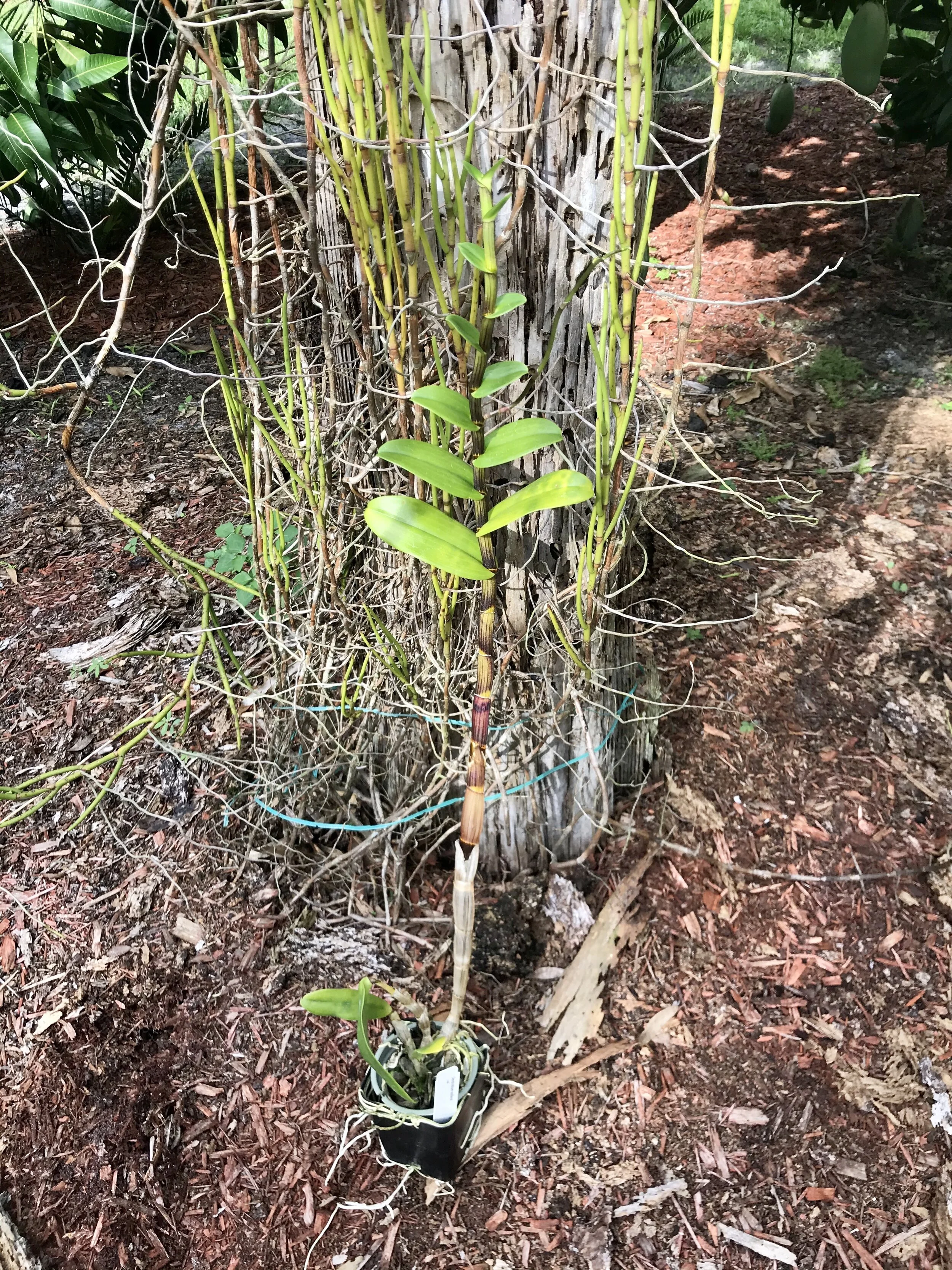 A2CA753F-2E22-4A53-BE55-6EA8684E6942