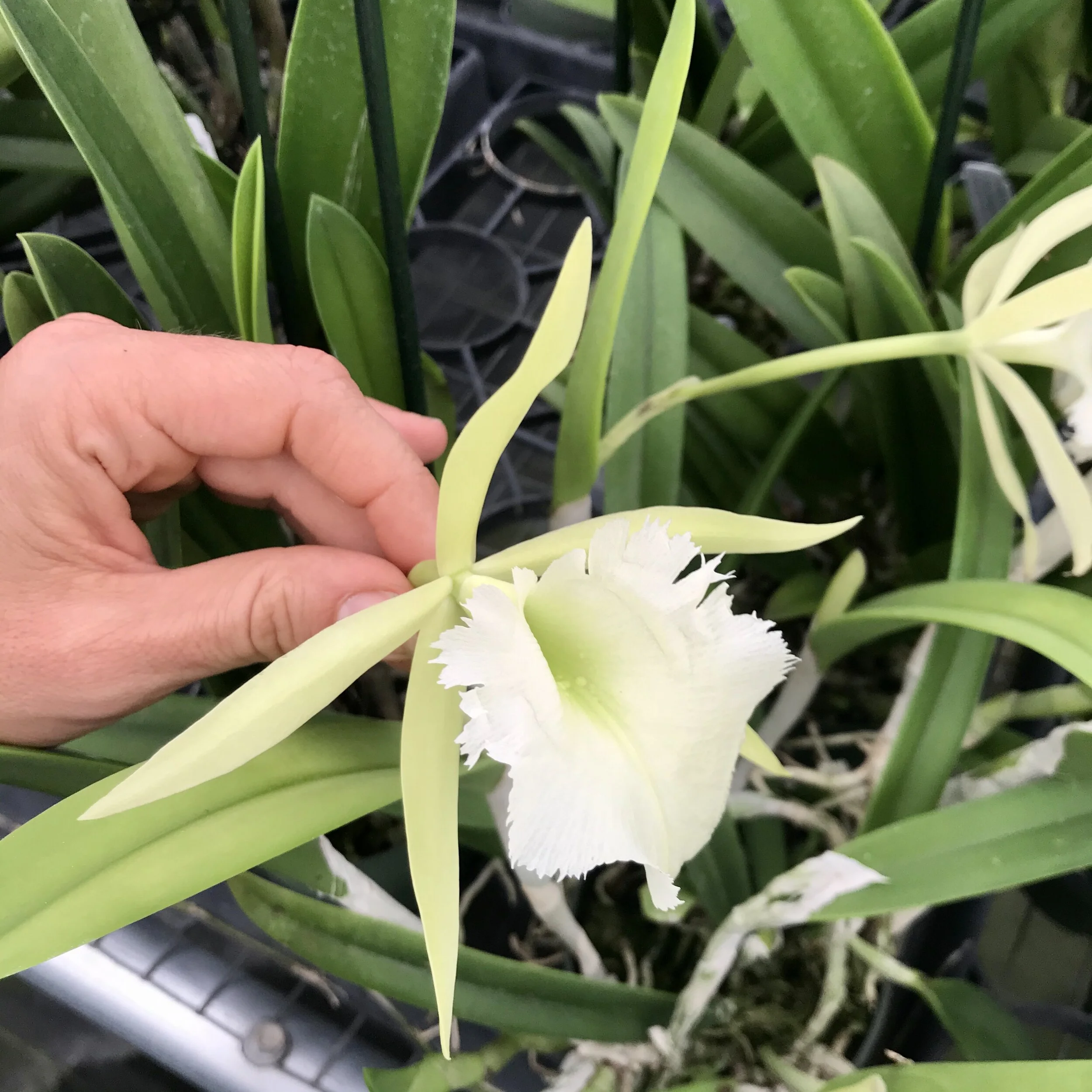 4B0D213A-1FF2-44BB-8C2E-C989C449FE81