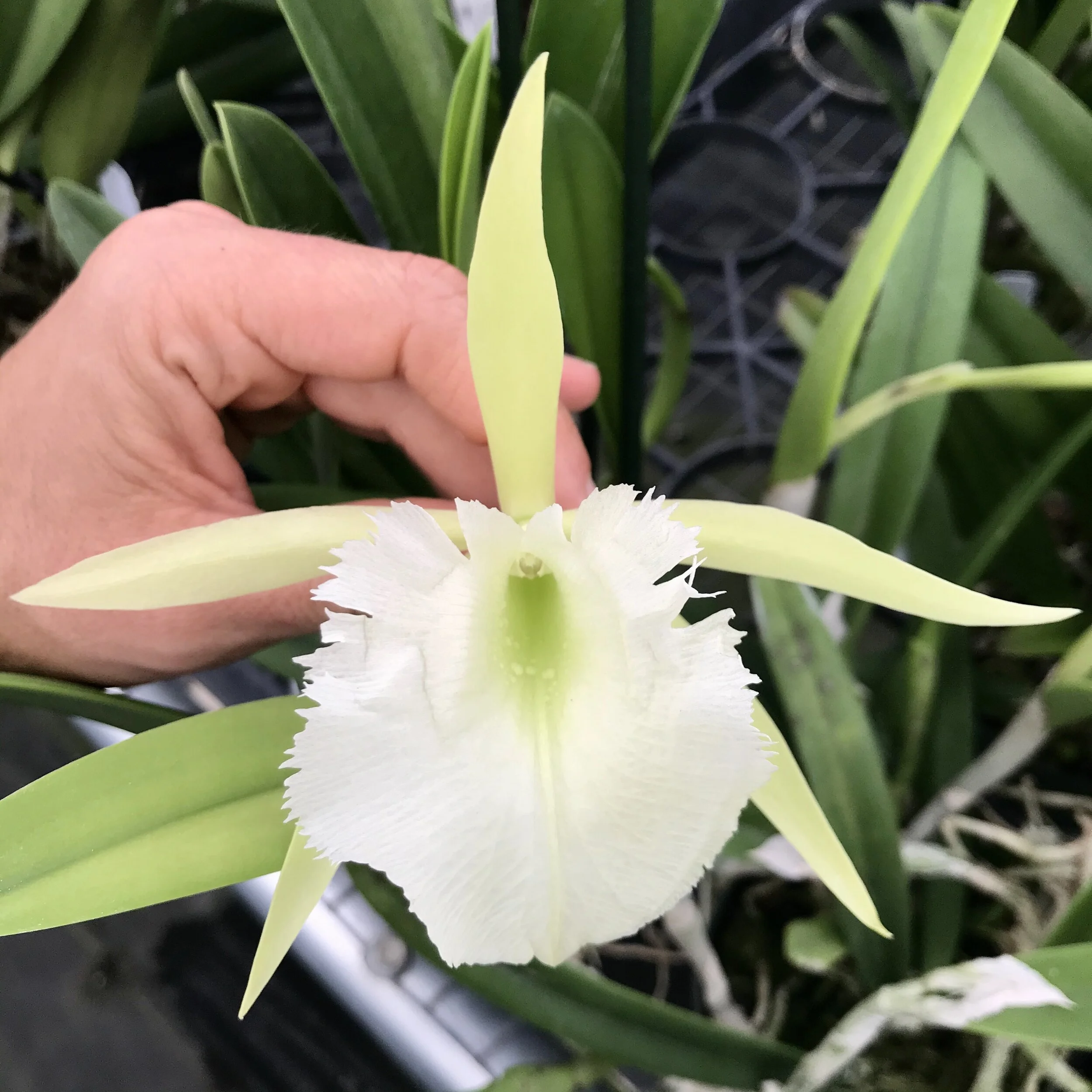 EC4772FF-8787-49D9-9EFD-5F62D7F192D6