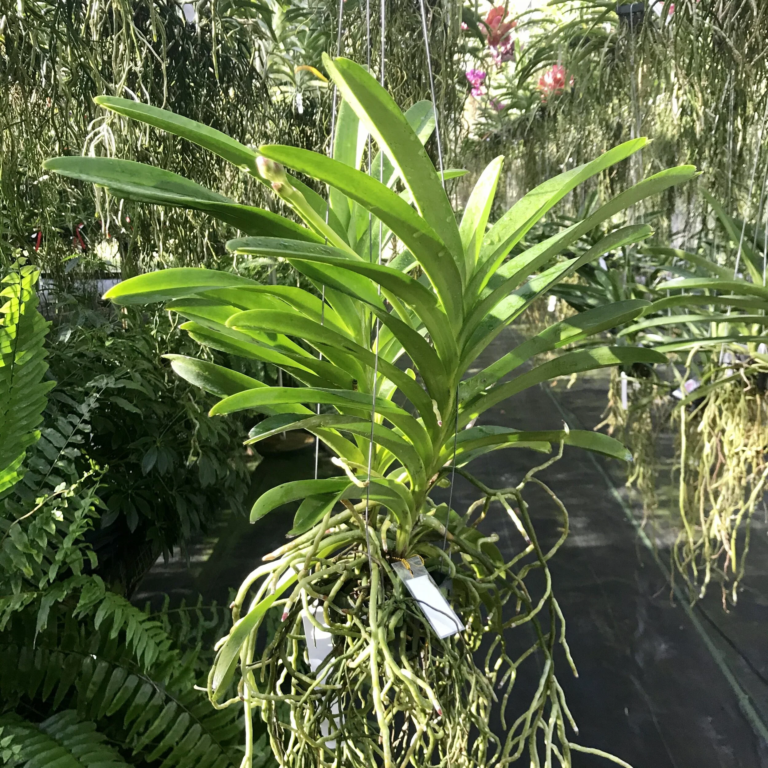 4C7F572D-E466-453D-BF0C-73B354D3D3B4