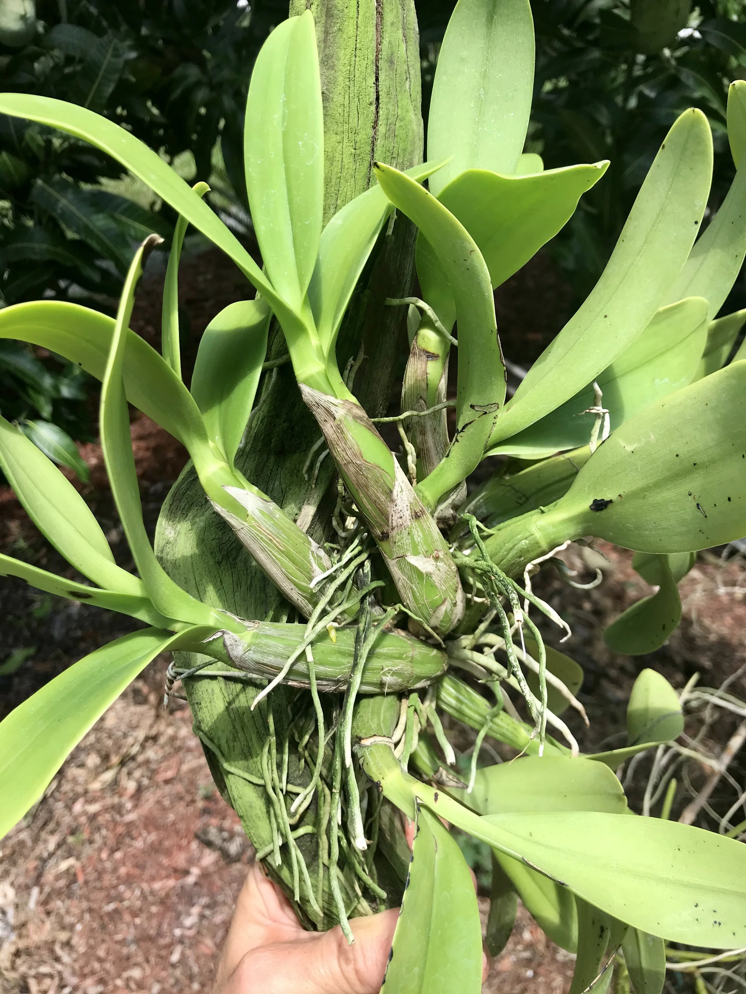 334FAF38-834E-4537-8024-6347850B43C8