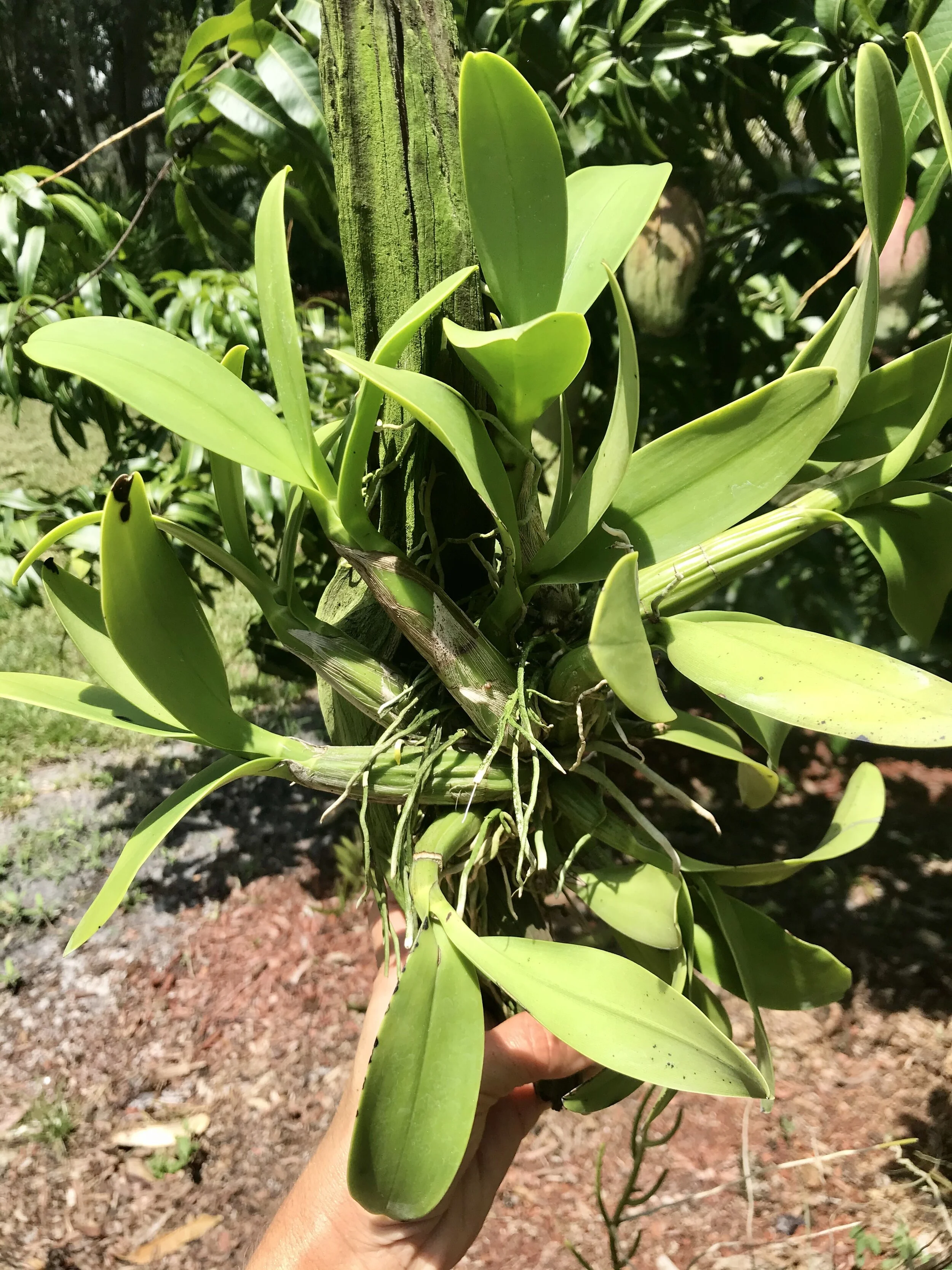 23B3AEC4-9865-40EF-95BE-D5BACFC668CB