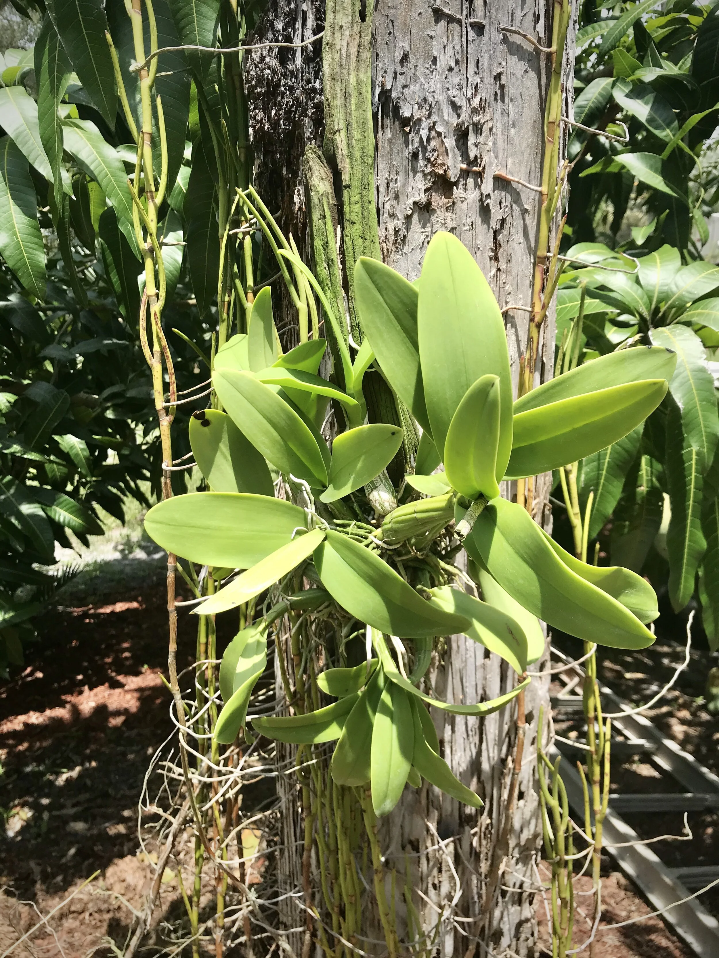 1B51F876-C72C-4A75-9CE4-3097C5F3DE07