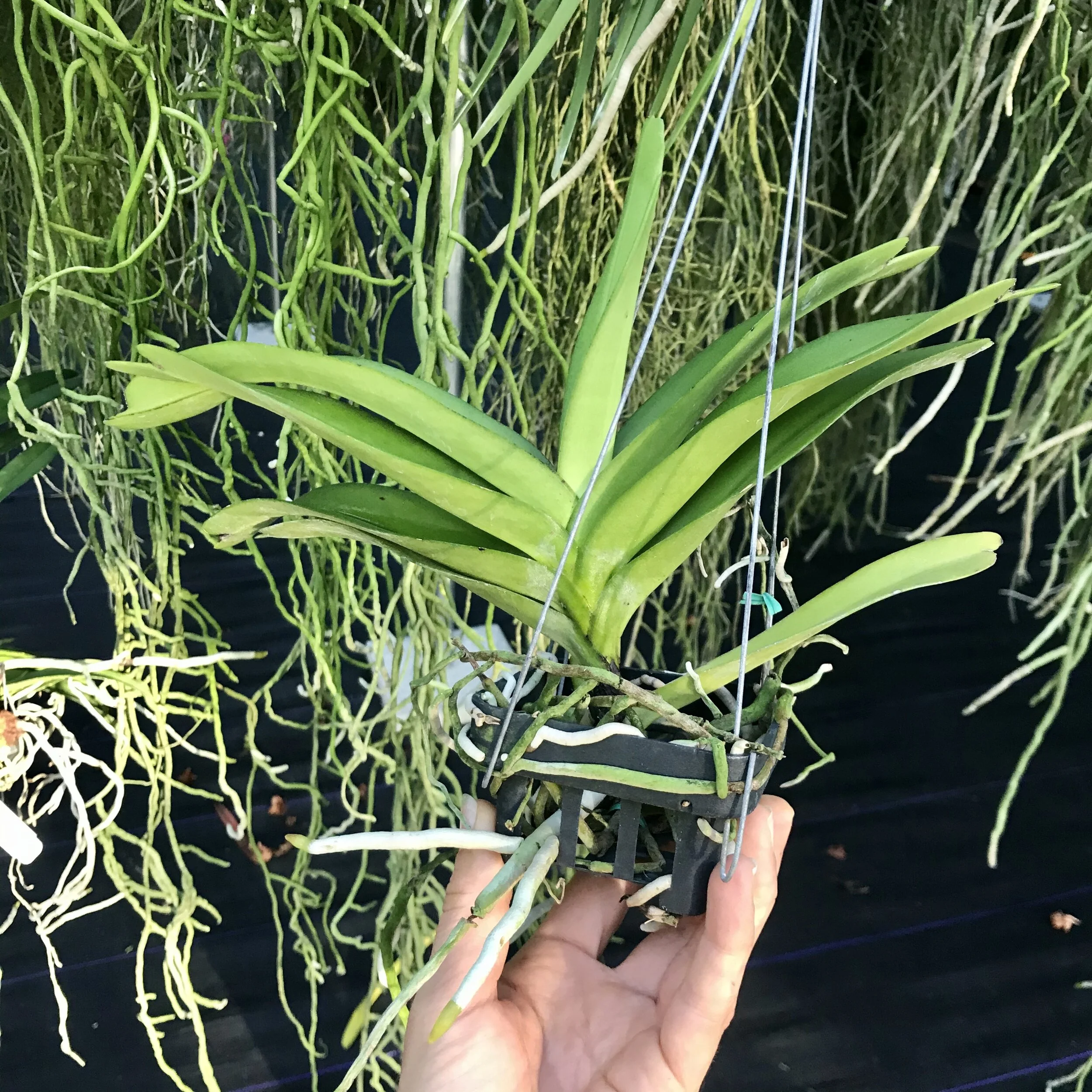 C973B043-BBB8-4B9A-A963-027EB1719B59