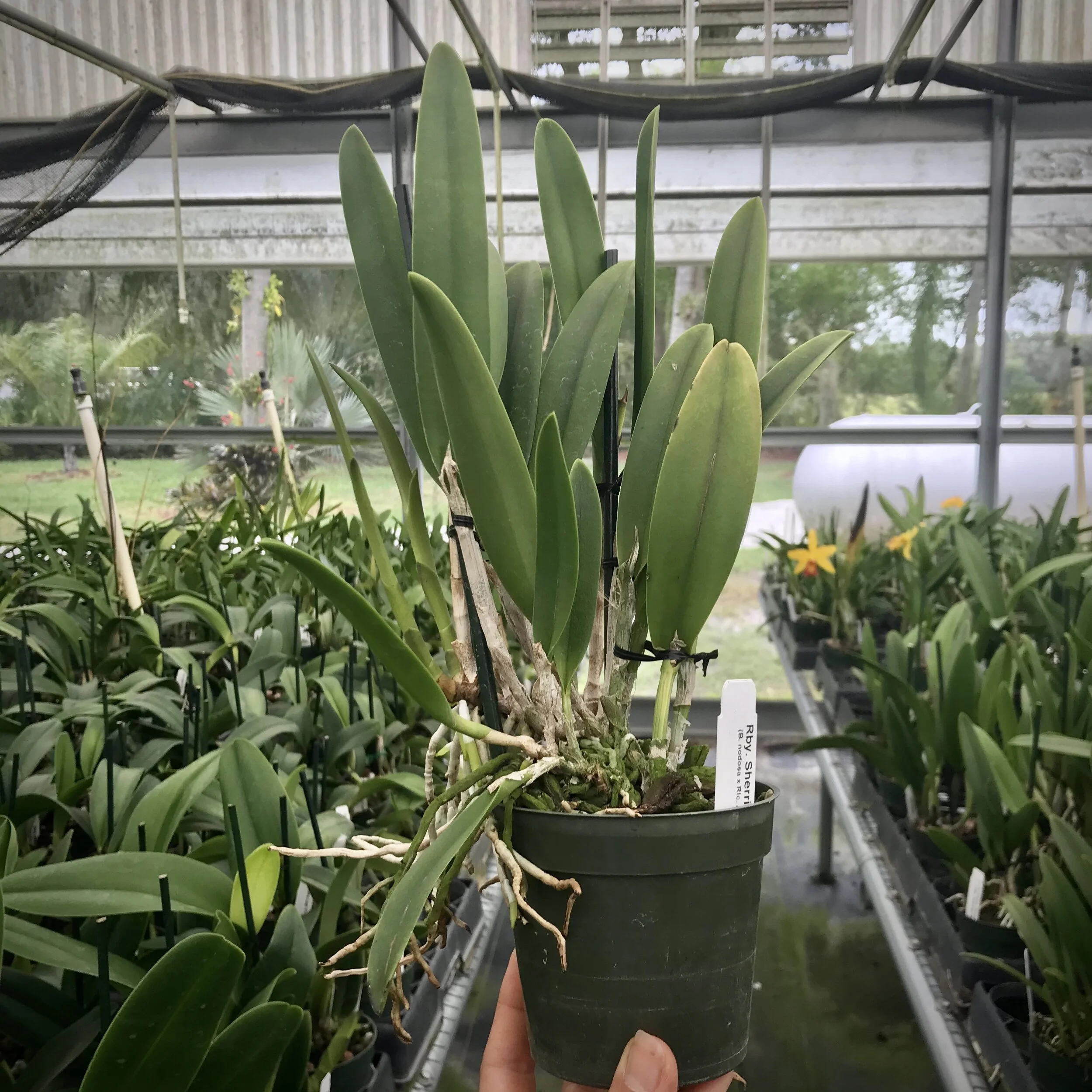 751C6DE4-6B60-4180-BC39-A130997173B4