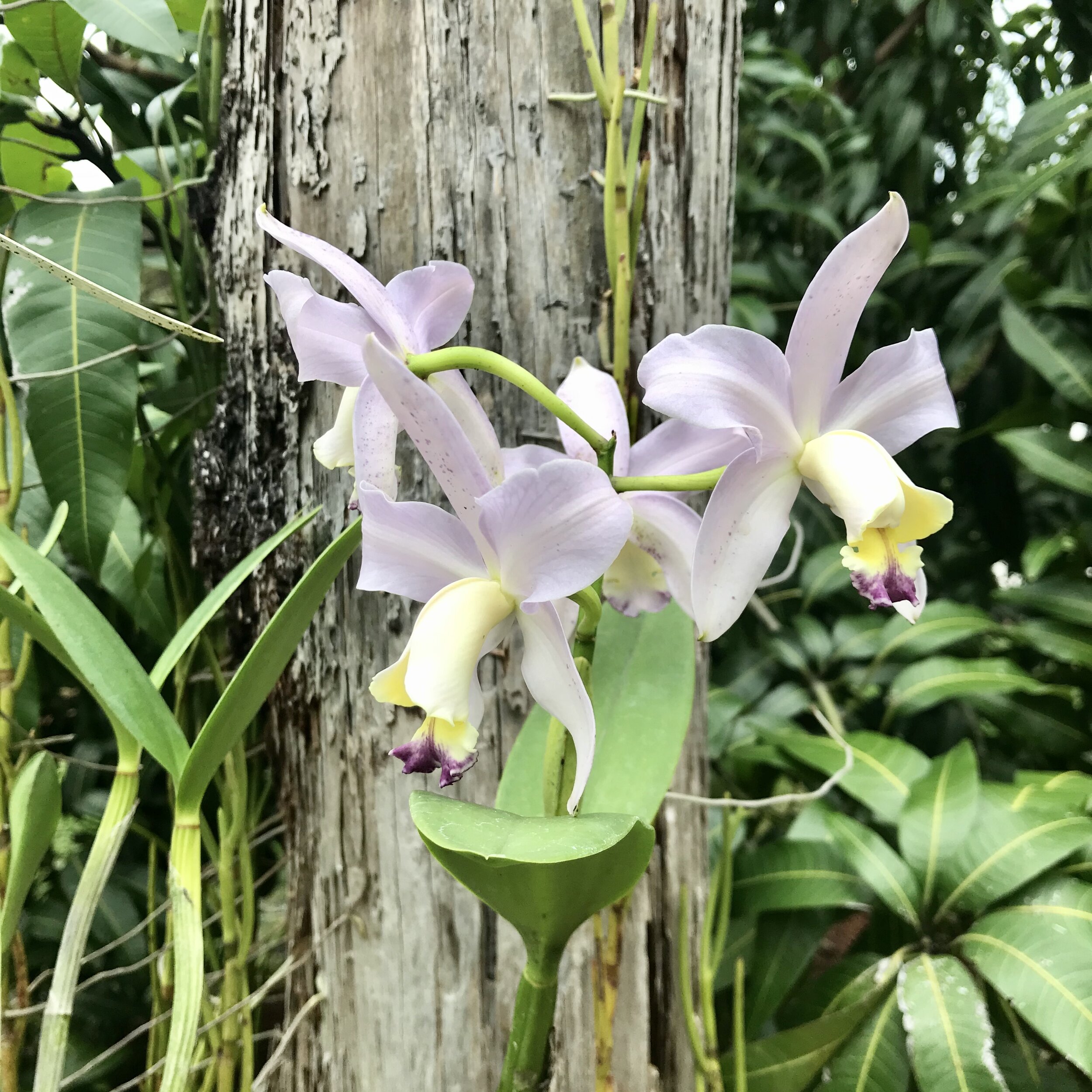 646A65D9-CB73-4B42-AC01-9138EB75D4EA