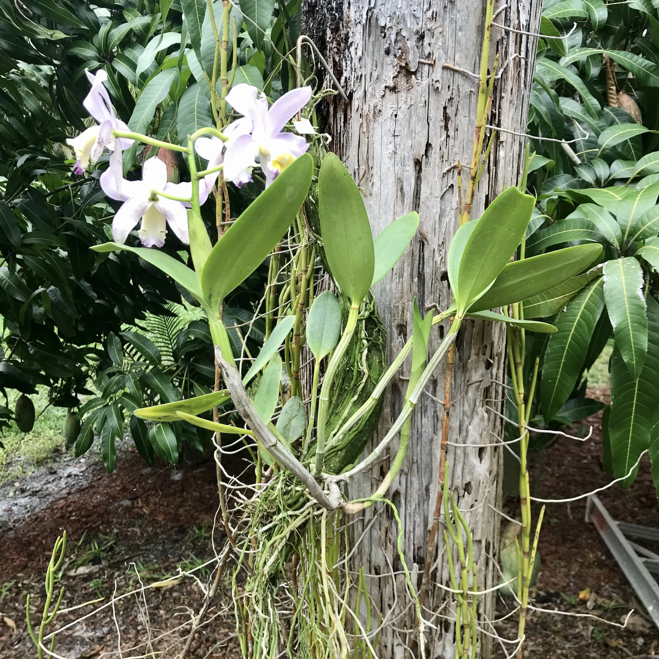 D6BEFE46-2E2C-41A9-B36C-21BB595D7264